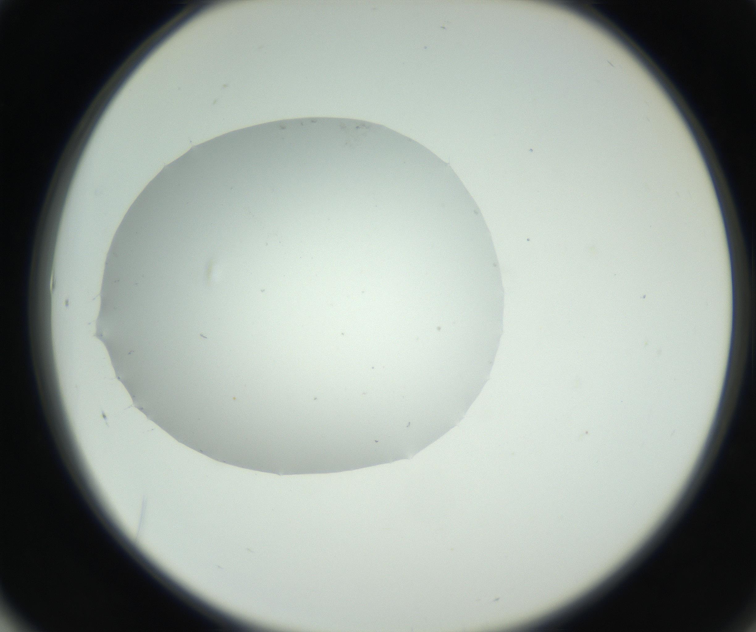 RI01_03_000_0212_Proj1_Clon1_MC_0000MC102636_010_160916_01_06_02_00_99_002_001_RAI.jpg