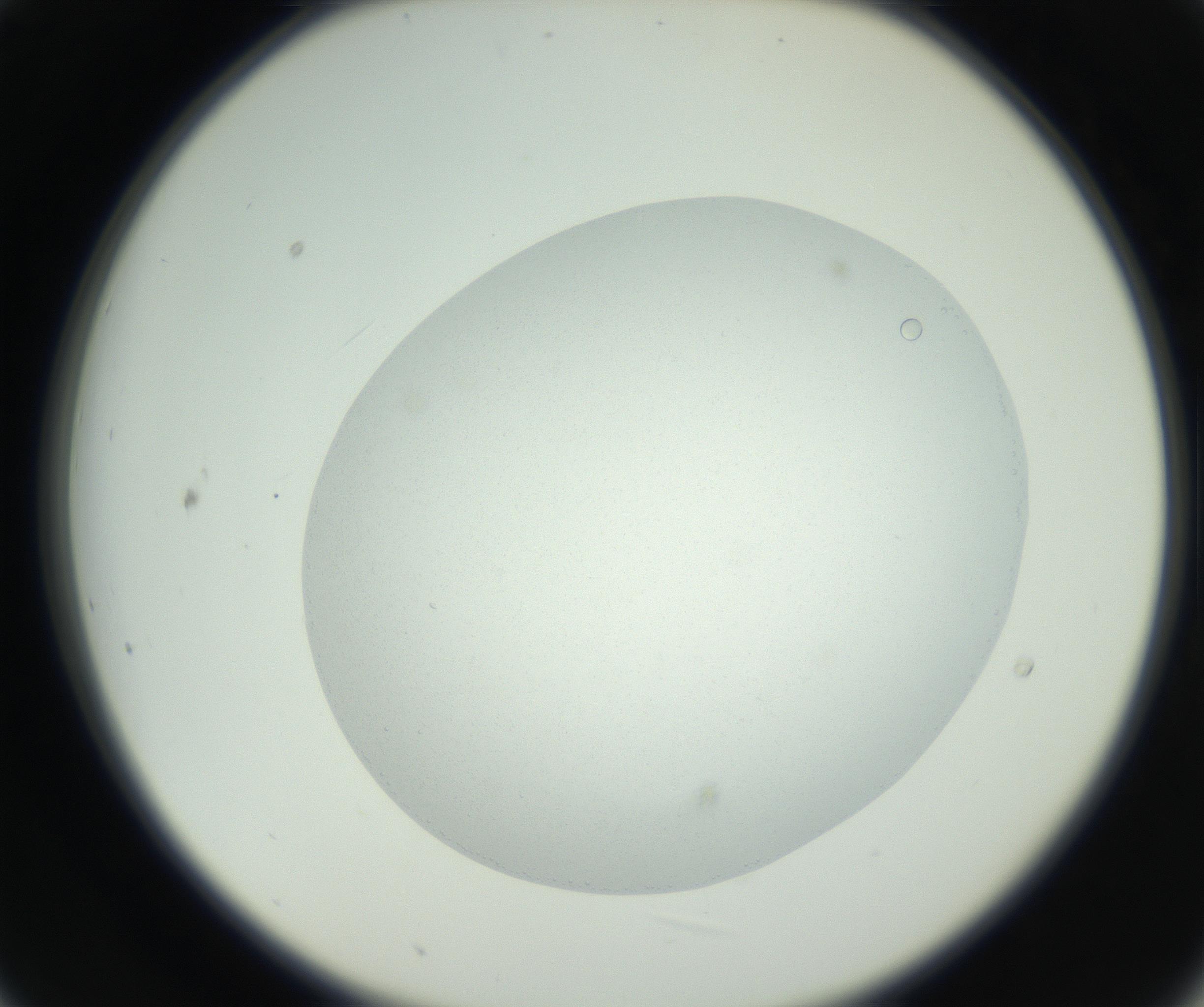 RI01_03_000_0212_Proj1_Clon1_MC_0000MC102636_010_160916_09_02_02_00_99_002_001_RAI.jpg