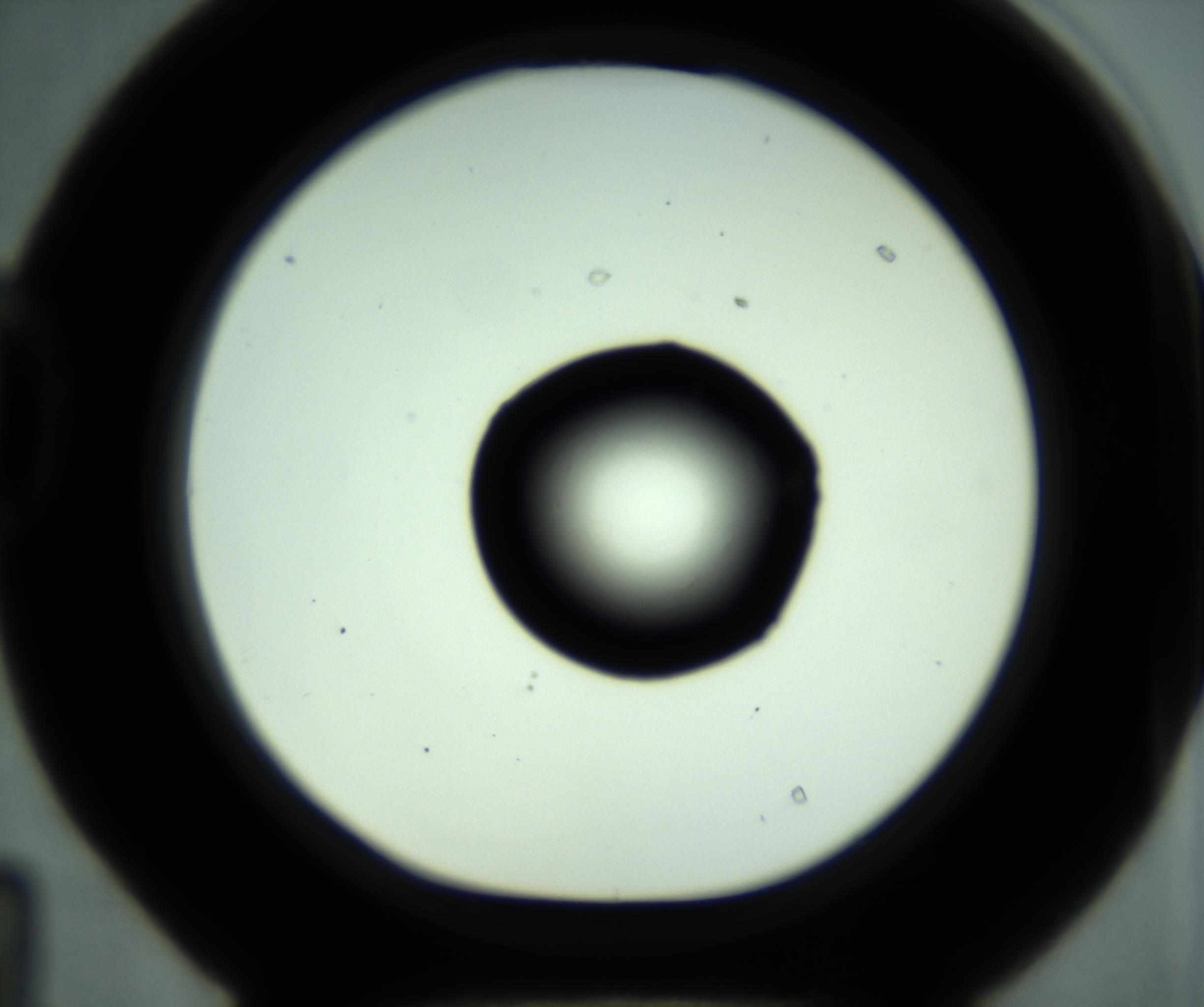 RI01_03_000_0212_Proj1_Clon1_MC_0000MC102636_013_161021_04_04_01_00_98_002_001_RAI.jpg