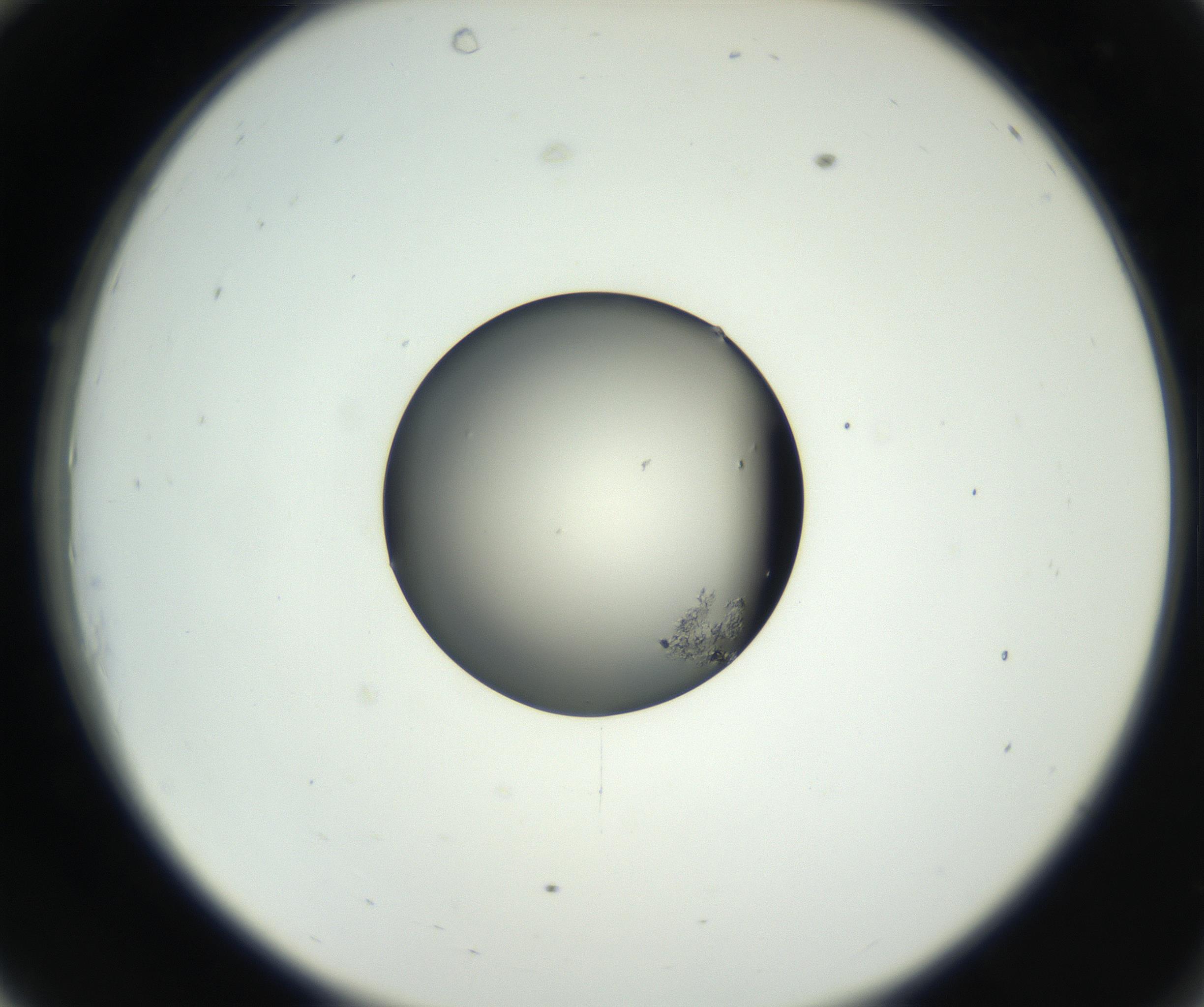 RI01_03_000_0212_Proj1_Clon1_MC_0000MC102637_008_160901_10_03_02_00_99_002_001_RAI.jpg