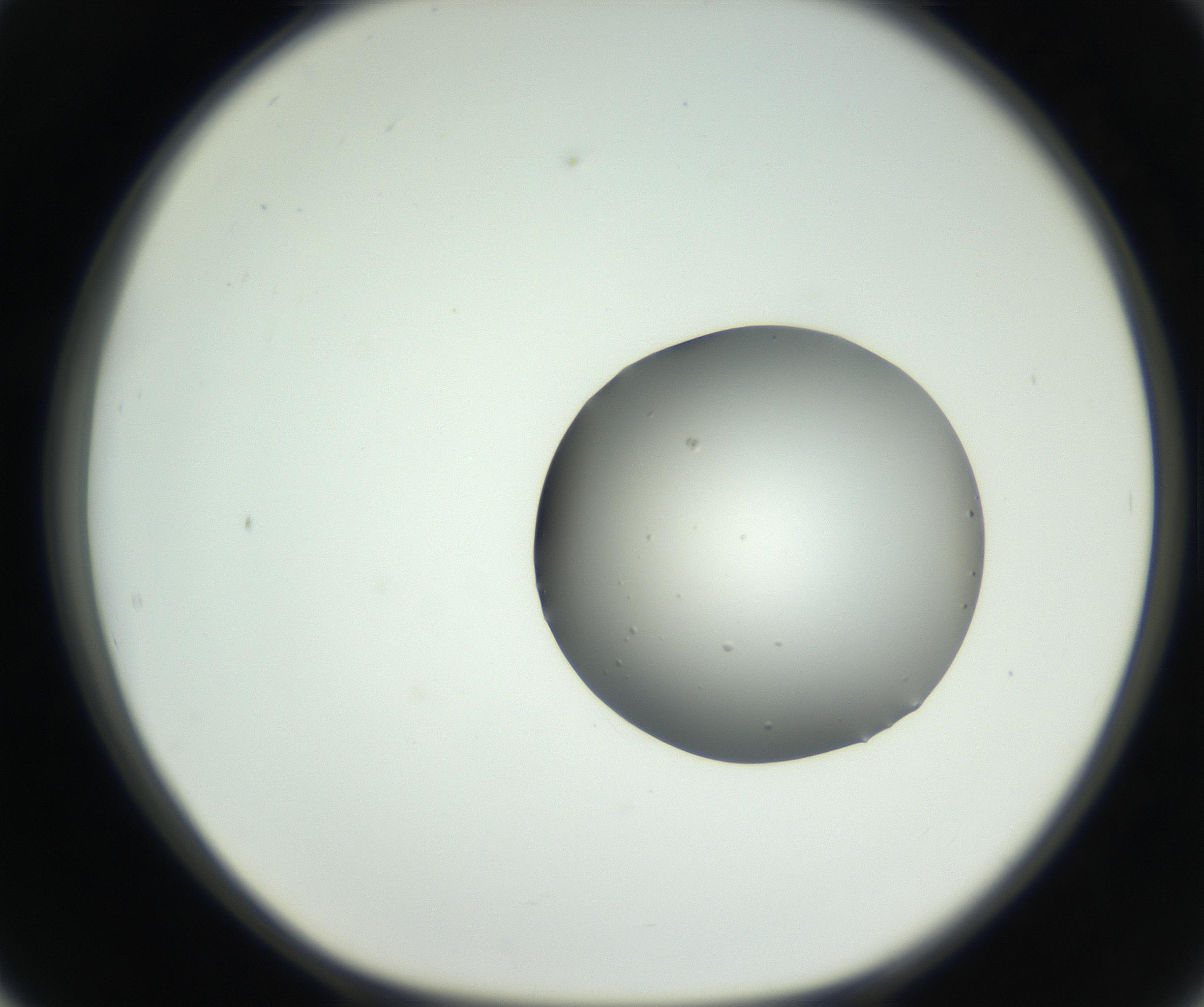 RI01_03_000_0212_Proj1_Clon1_MC_0000MC102638_008_160901_02_05_01_00_99_002_001_RAI.jpg