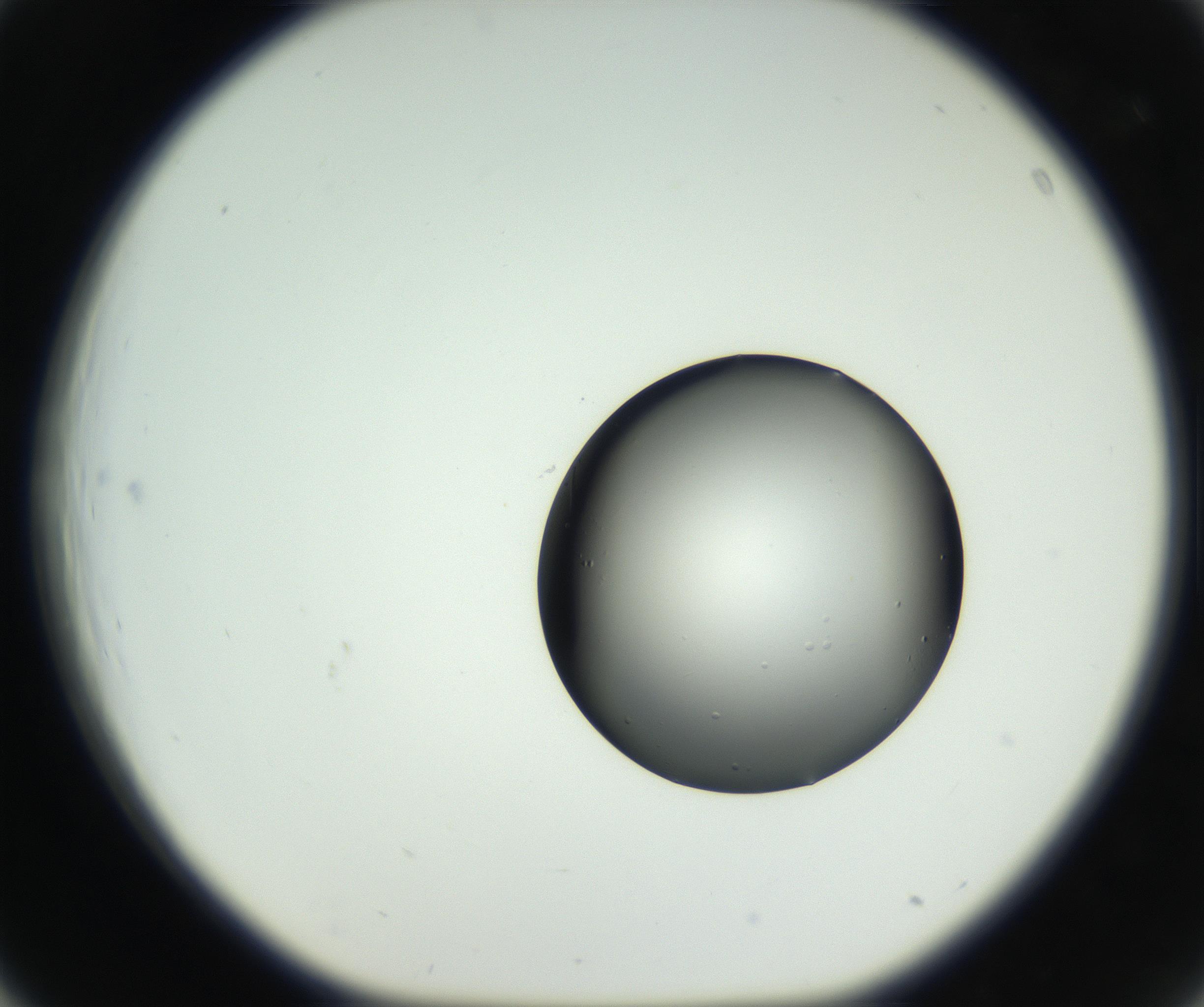 RI01_03_000_0212_Proj1_Clon1_MC_0000MC102638_008_160901_03_04_01_00_99_002_001_RAI.jpg