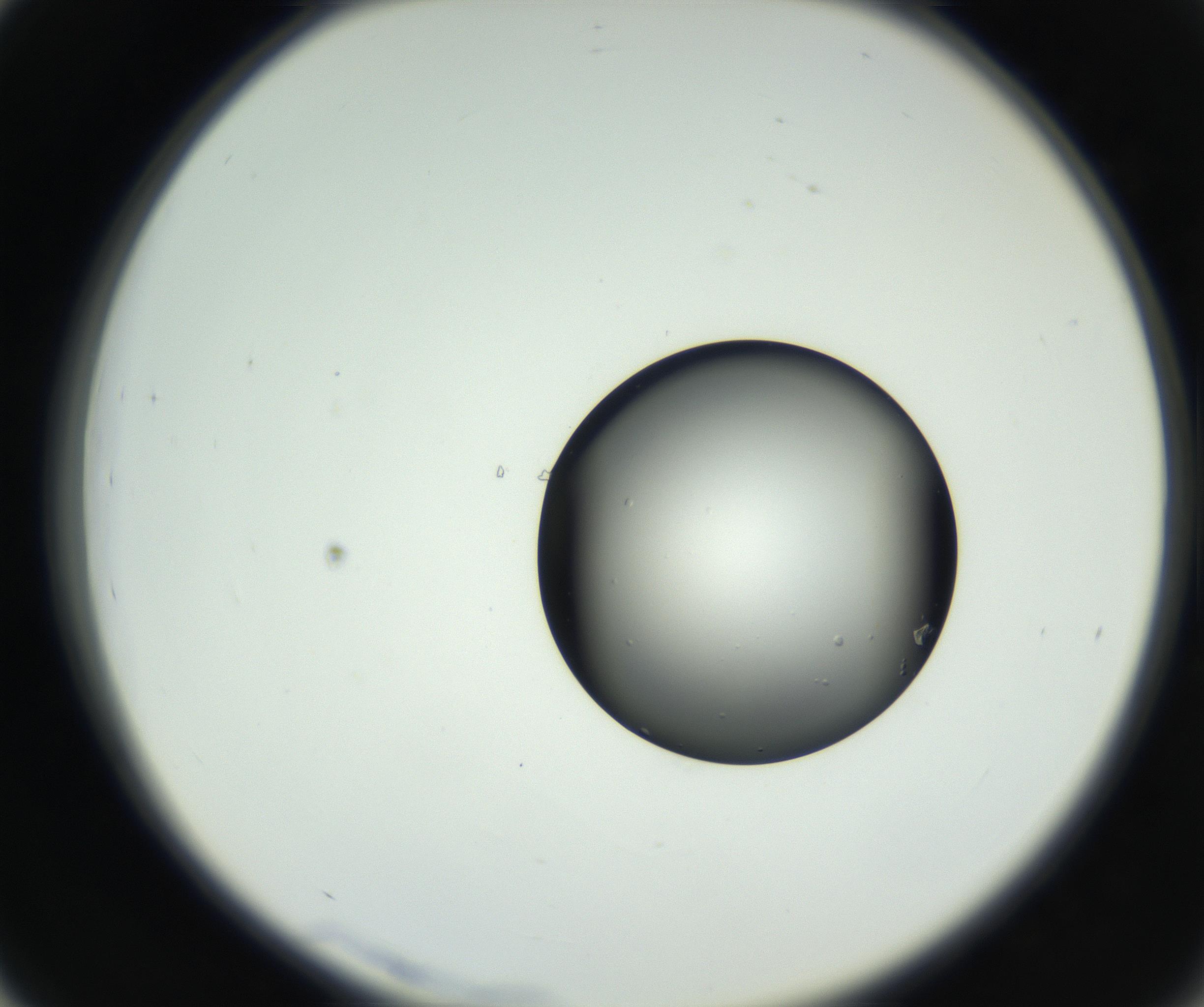 RI01_03_000_0212_Proj1_Clon1_MC_0000MC102638_008_160901_03_04_02_00_99_002_001_RAI.jpg