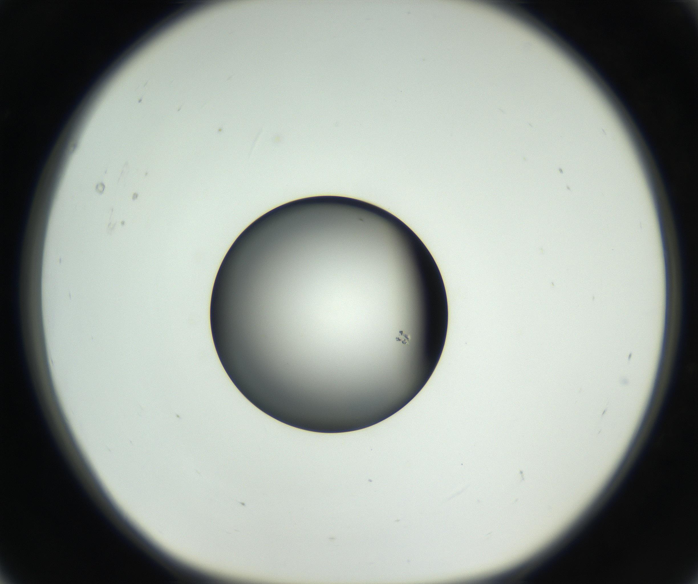 RI01_03_000_0212_Proj1_Clon1_MC_0000MC102638_008_160901_05_01_01_00_99_002_001_RAI.jpg