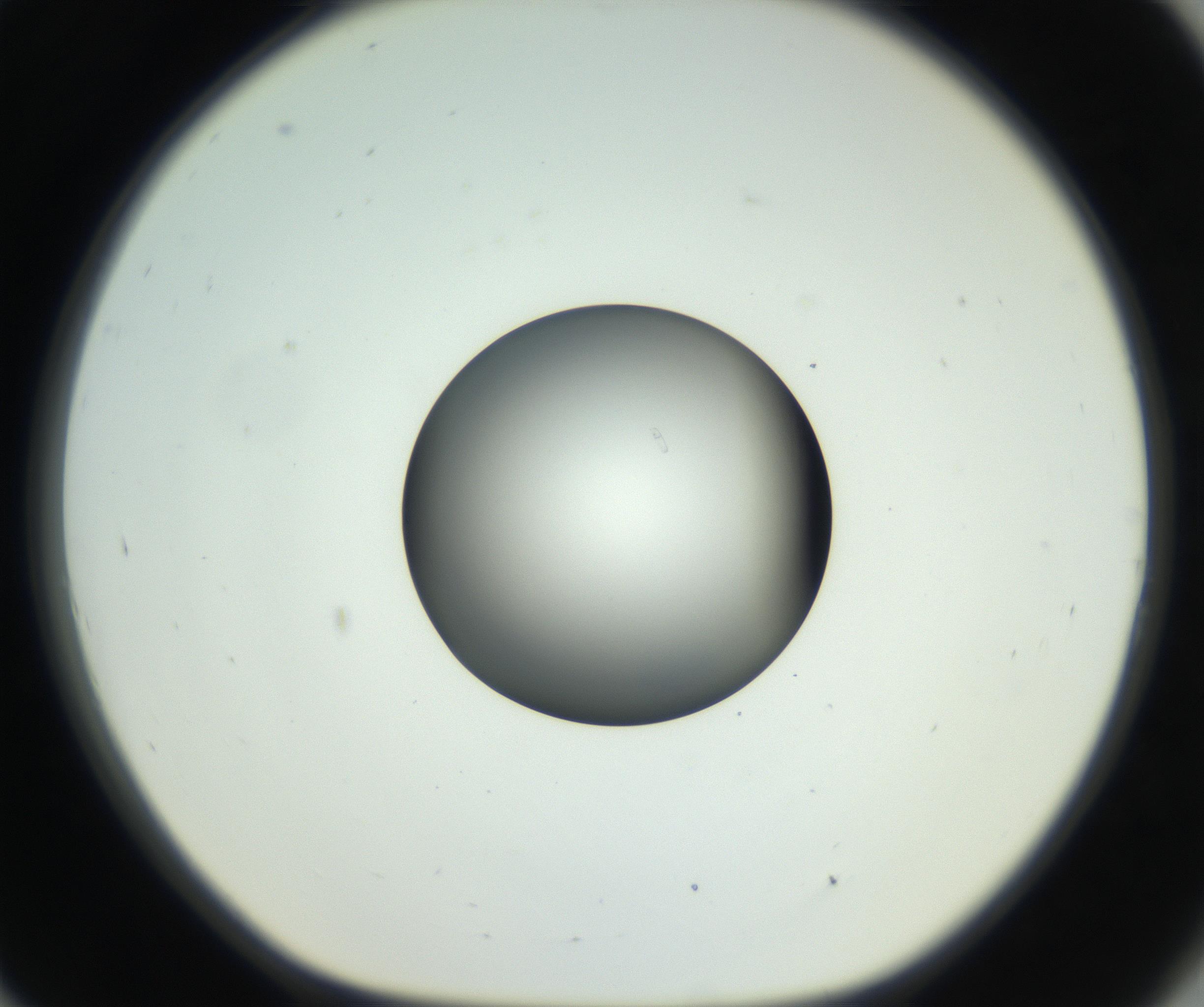 RI01_03_000_0212_Proj1_Clon1_MC_0000MC102638_008_160901_09_08_01_00_99_002_001_RAI.jpg