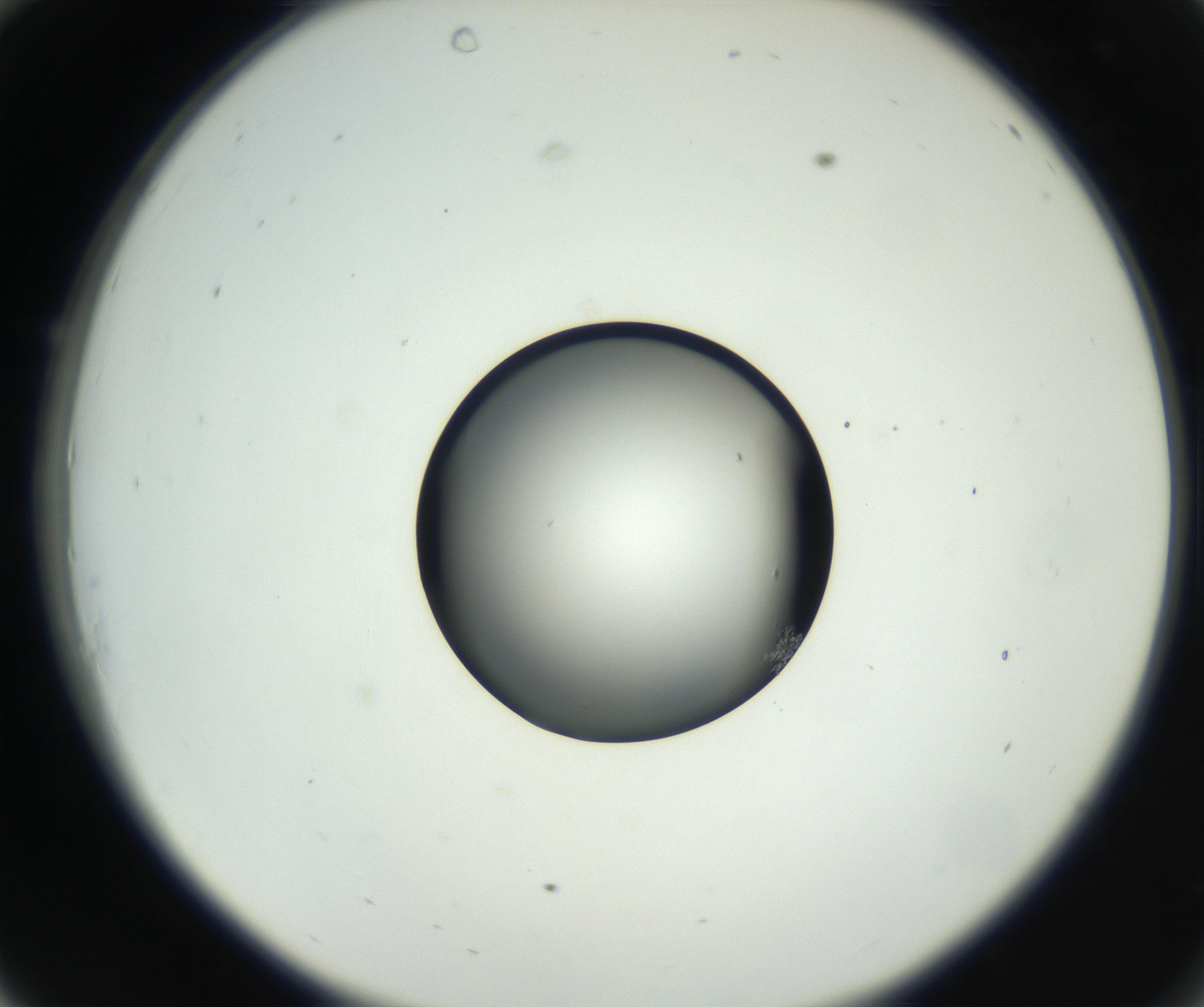 RI01_03_000_0212_Proj1_Clon1_MC_0000MC102638_008_160901_10_03_02_00_99_002_001_RAI.jpg