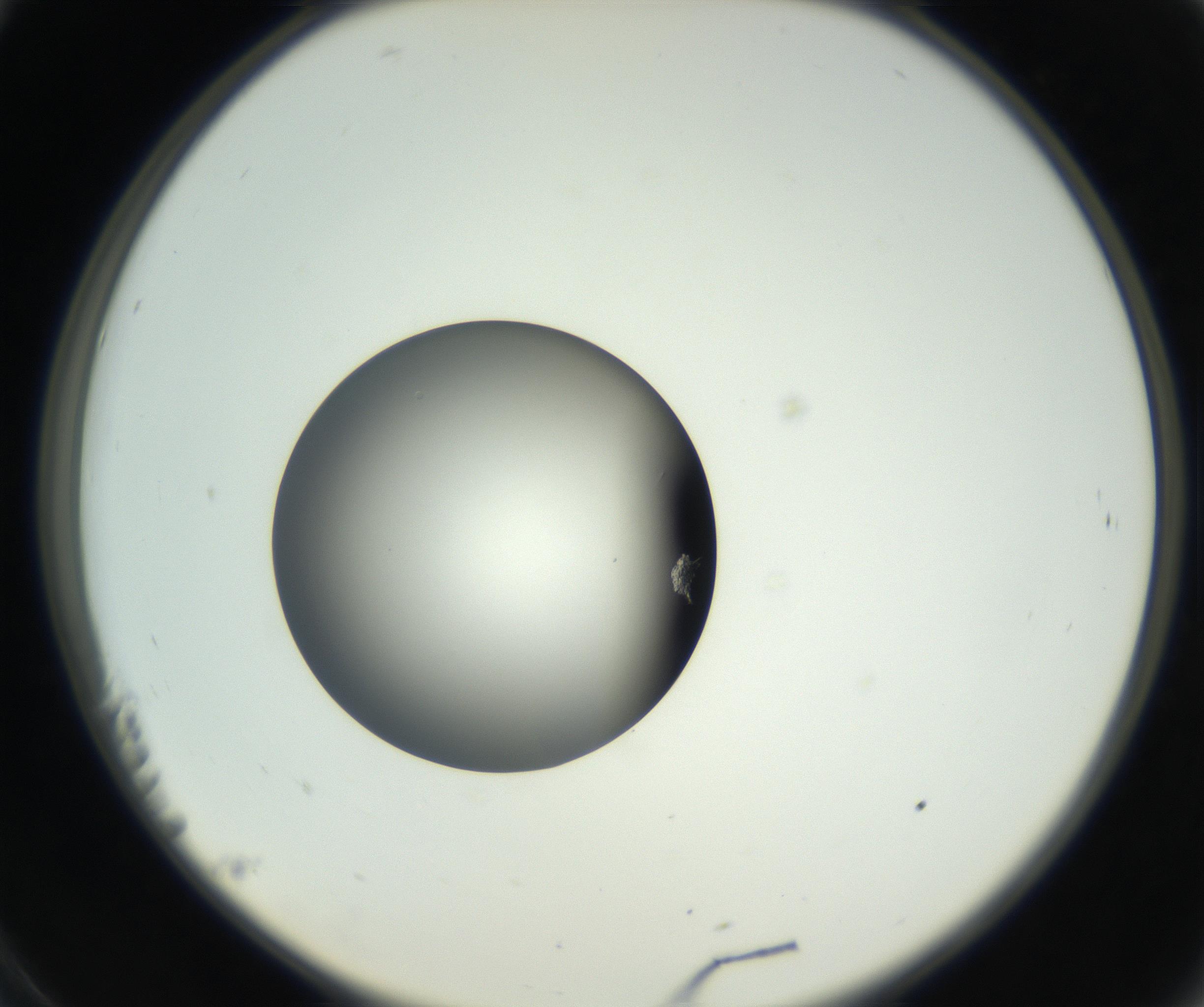 RI01_03_000_0212_Proj1_Clon1_MC_0000MC102638_008_160901_11_02_02_00_99_002_001_RAI.jpg