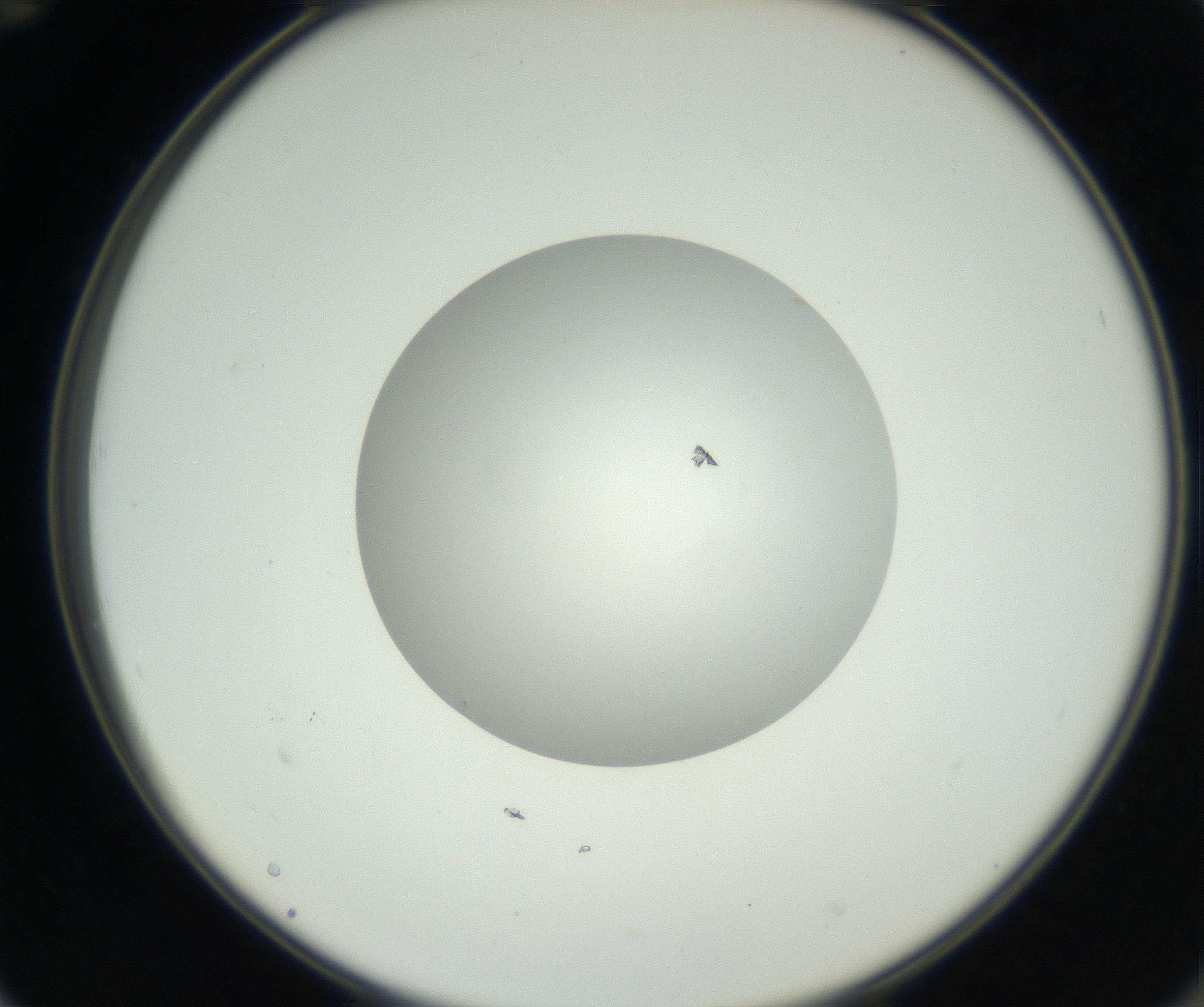 RI01_03_000_0212_Proj1_Clon1_MC_0000MC102638_008_160901_12_06_02_00_99_002_001_RAI.jpg