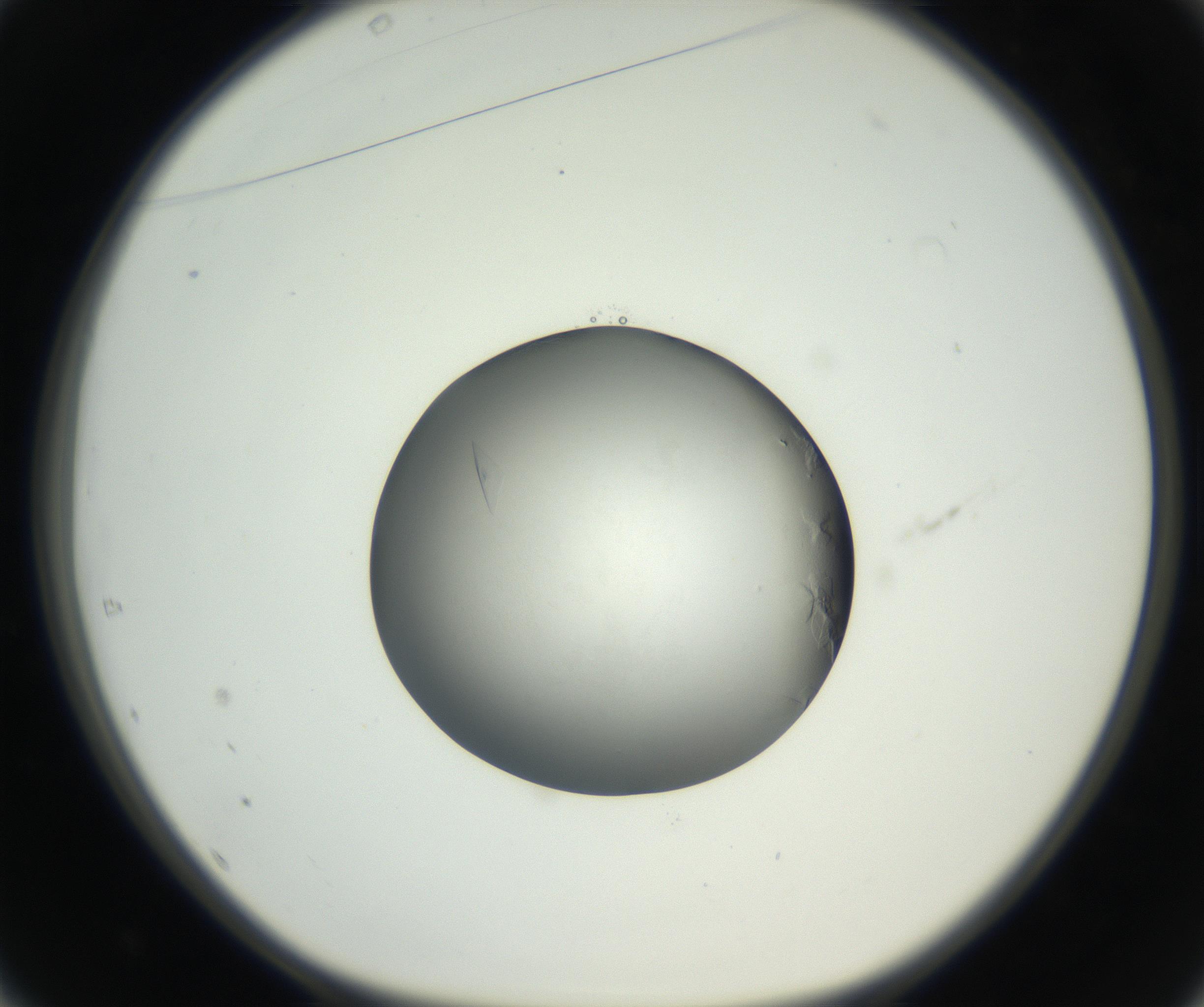 RI01_03_000_0212_Proj1_Clon1_MC_0000MC102639_002_160812_01_04_01_00_99_002_001_RAI.jpg