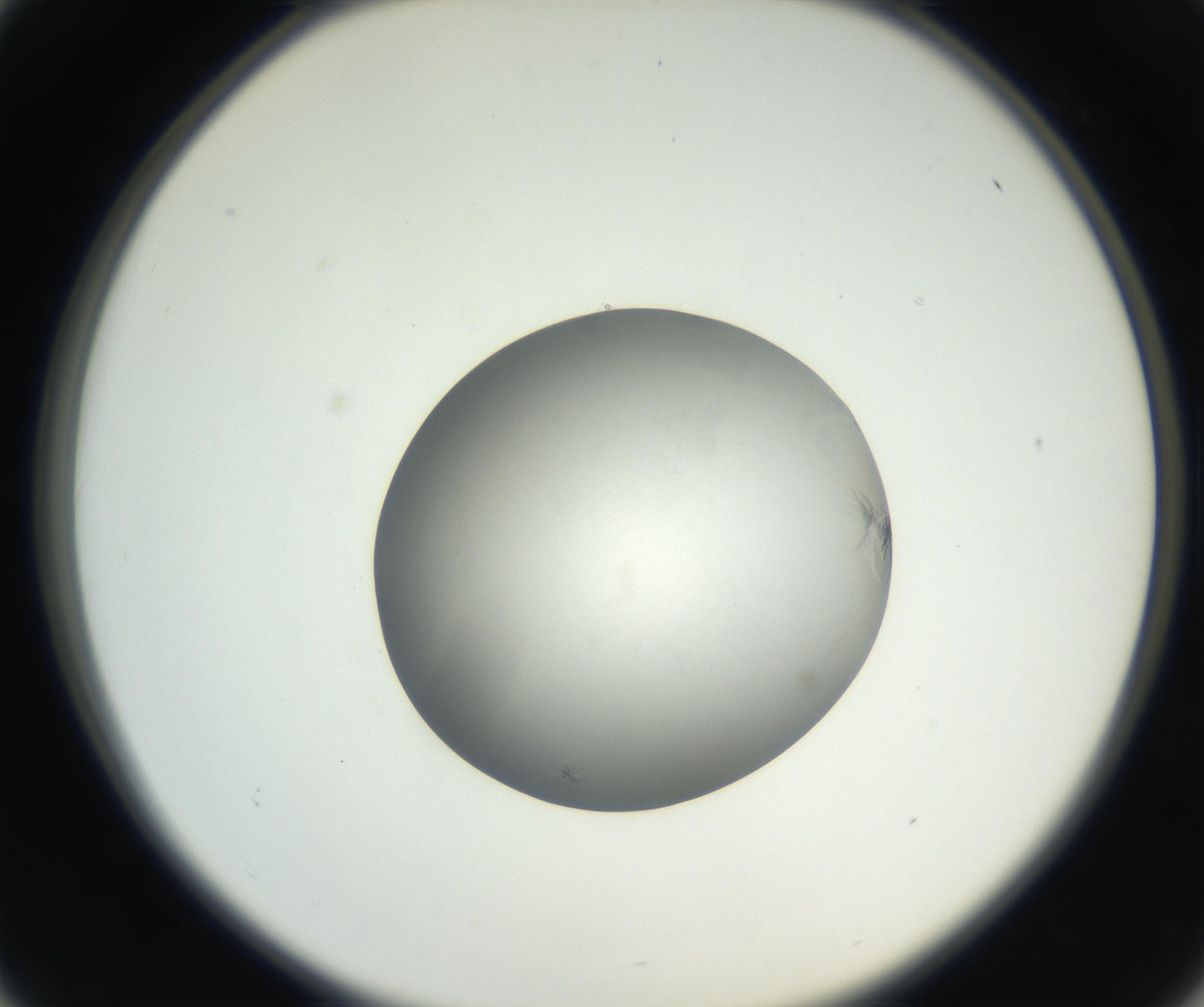 RI01_03_000_0212_Proj1_Clon1_MC_0000MC102639_002_160812_01_04_02_00_99_002_001_RAI.jpg