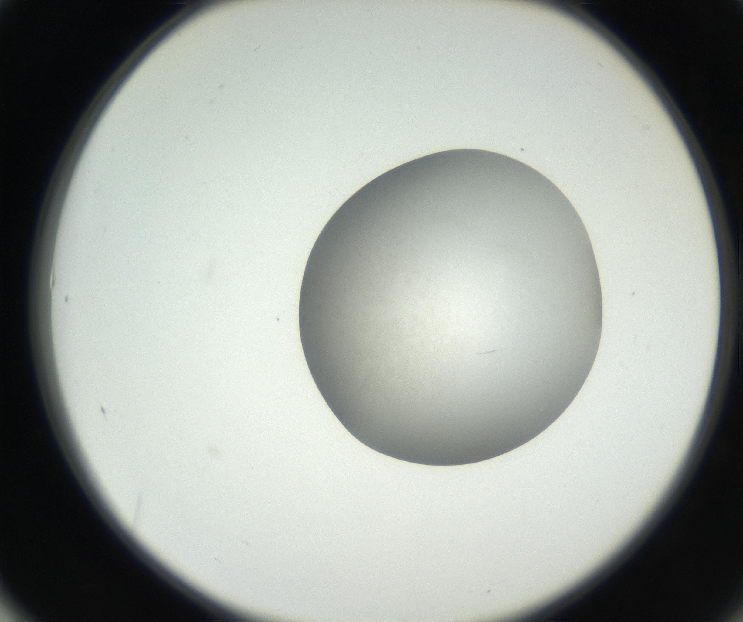 RI01_03_000_0212_Proj1_Clon1_MC_0000MC102639_002_160812_01_06_02_00_99_002_001_RAI.jpg