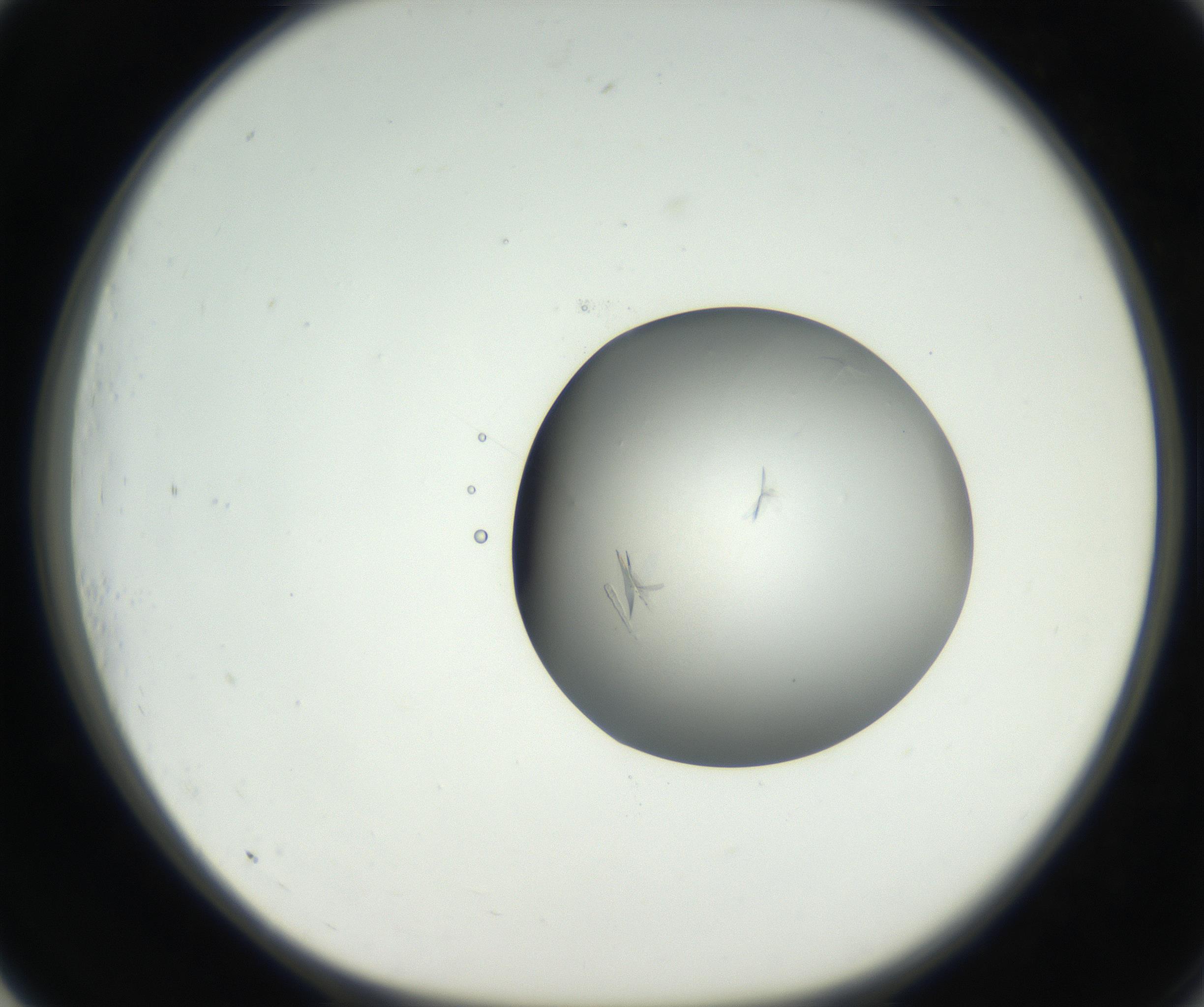RI01_03_000_0212_Proj1_Clon1_MC_0000MC102639_002_160812_01_07_01_00_99_002_001_RAI.jpg