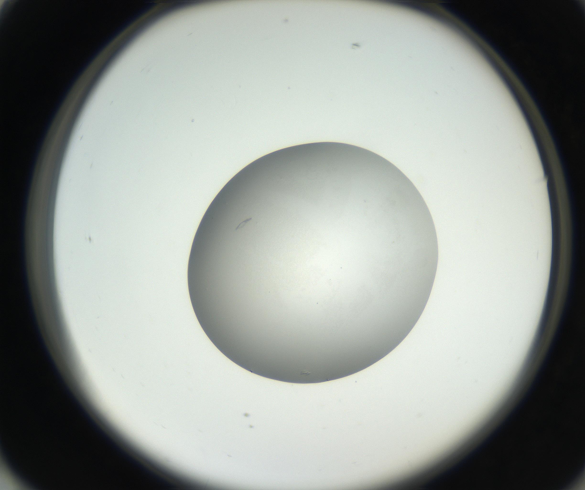 RI01_03_000_0212_Proj1_Clon1_MC_0000MC102639_002_160812_01_07_02_00_99_002_001_RAI.jpg
