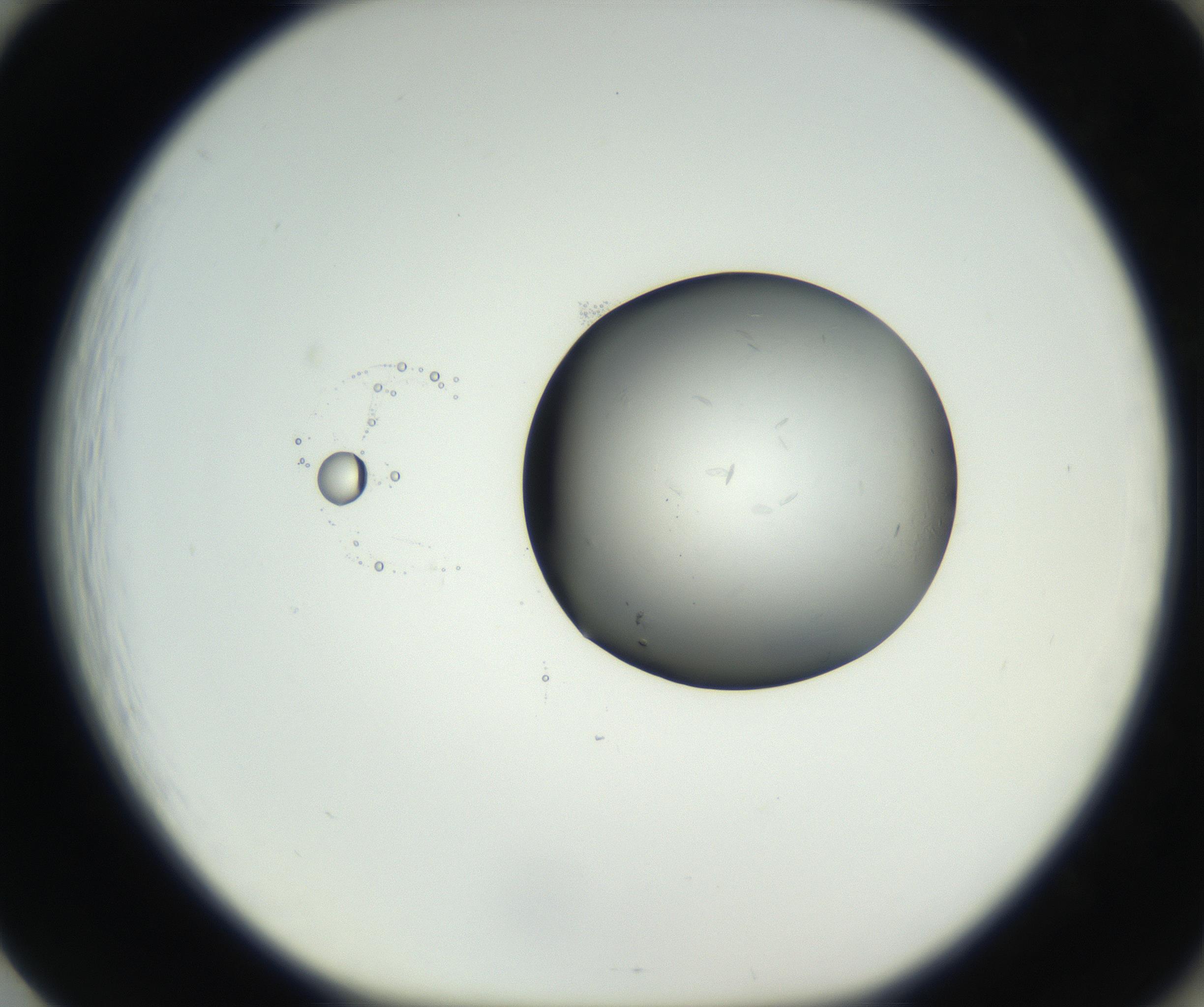 RI01_03_000_0212_Proj1_Clon1_MC_0000MC102639_002_160812_01_08_01_00_99_002_001_RAI.jpg