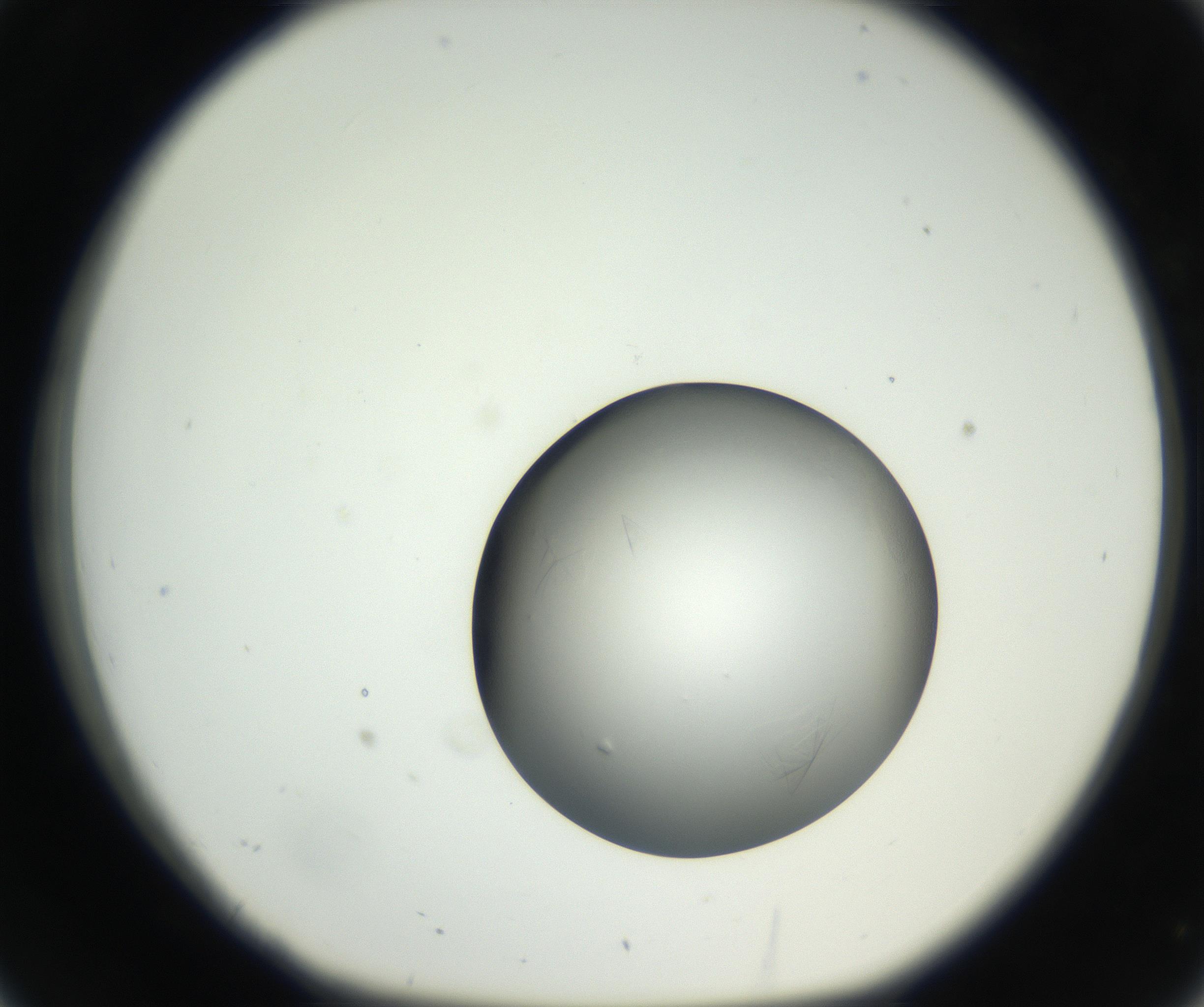 RI01_03_000_0212_Proj1_Clon1_MC_0000MC102639_002_160812_02_03_01_00_99_002_001_RAI.jpg