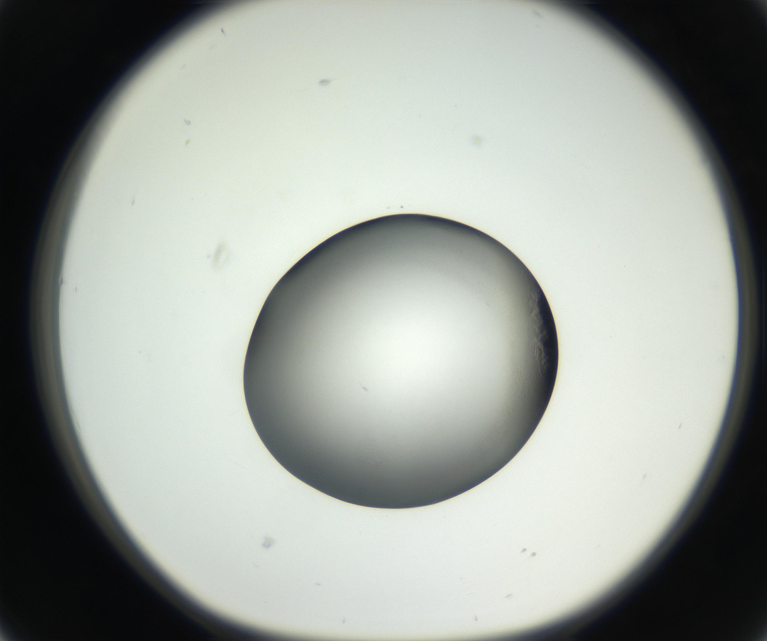 RI01_03_000_0212_Proj1_Clon1_MC_0000MC102639_002_160812_02_04_01_00_99_002_001_RAI.jpg