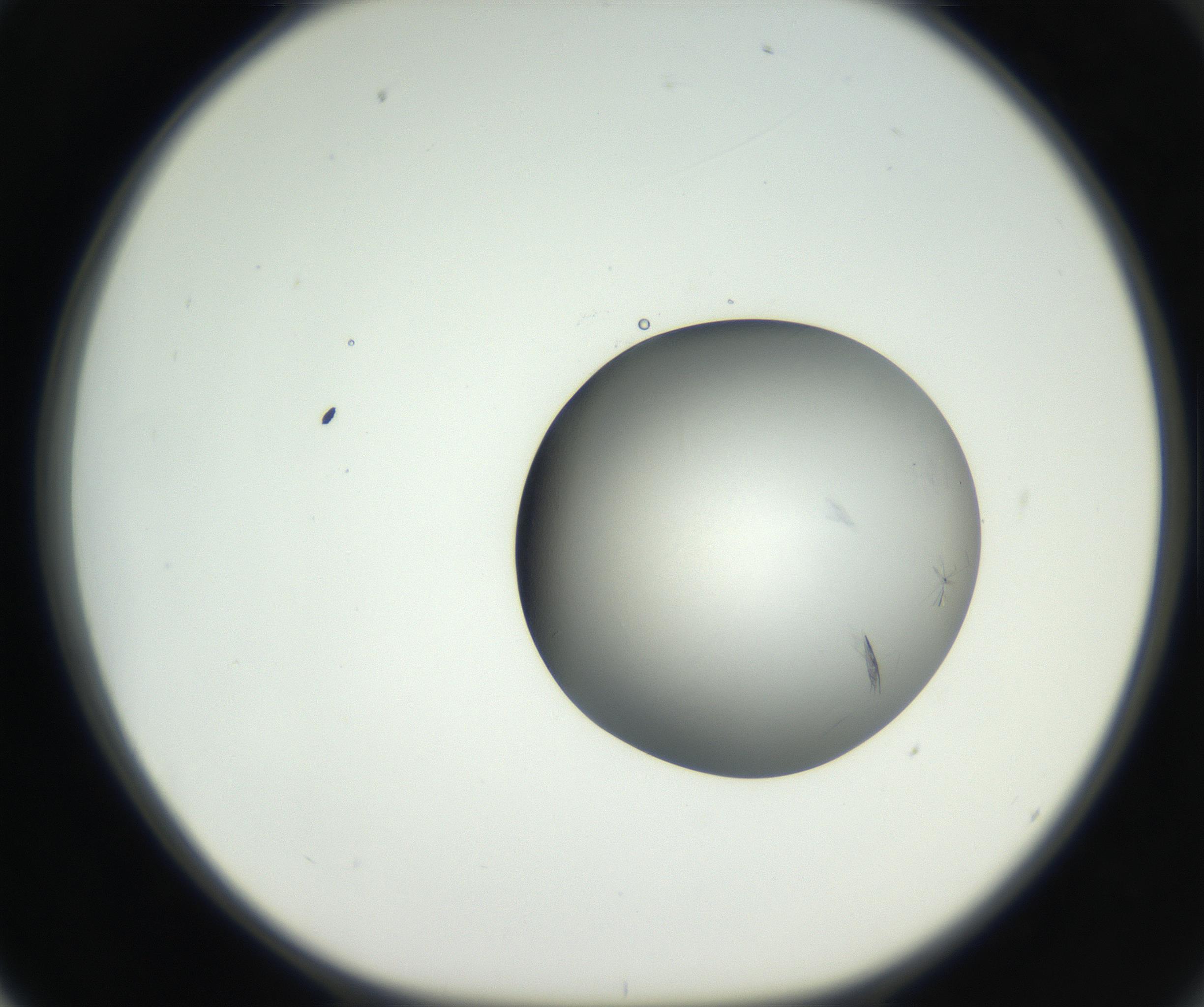 RI01_03_000_0212_Proj1_Clon1_MC_0000MC102639_002_160812_02_06_01_00_99_002_001_RAI.jpg