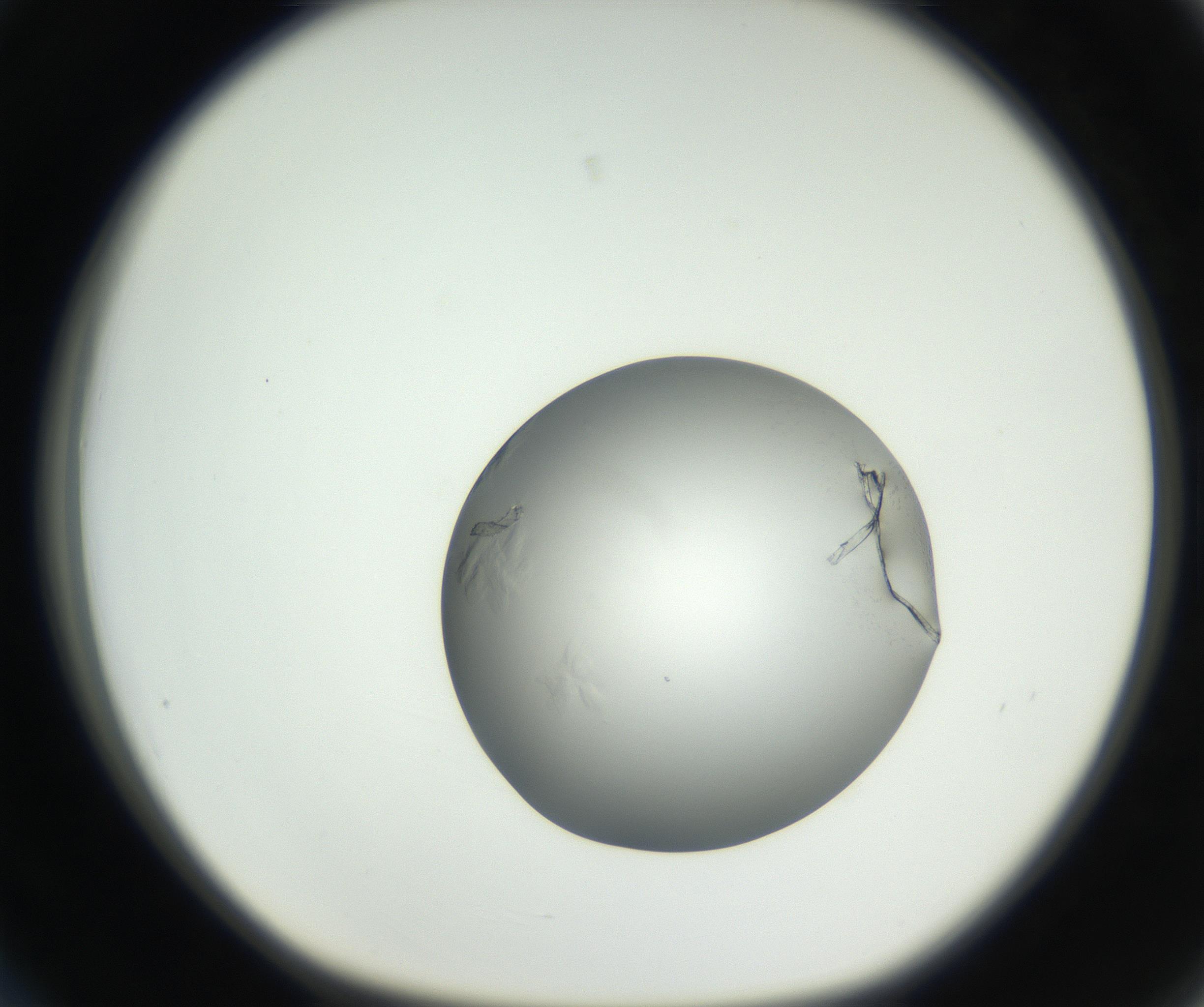 RI01_03_000_0212_Proj1_Clon1_MC_0000MC102639_002_160812_03_03_01_00_99_002_001_RAI.jpg