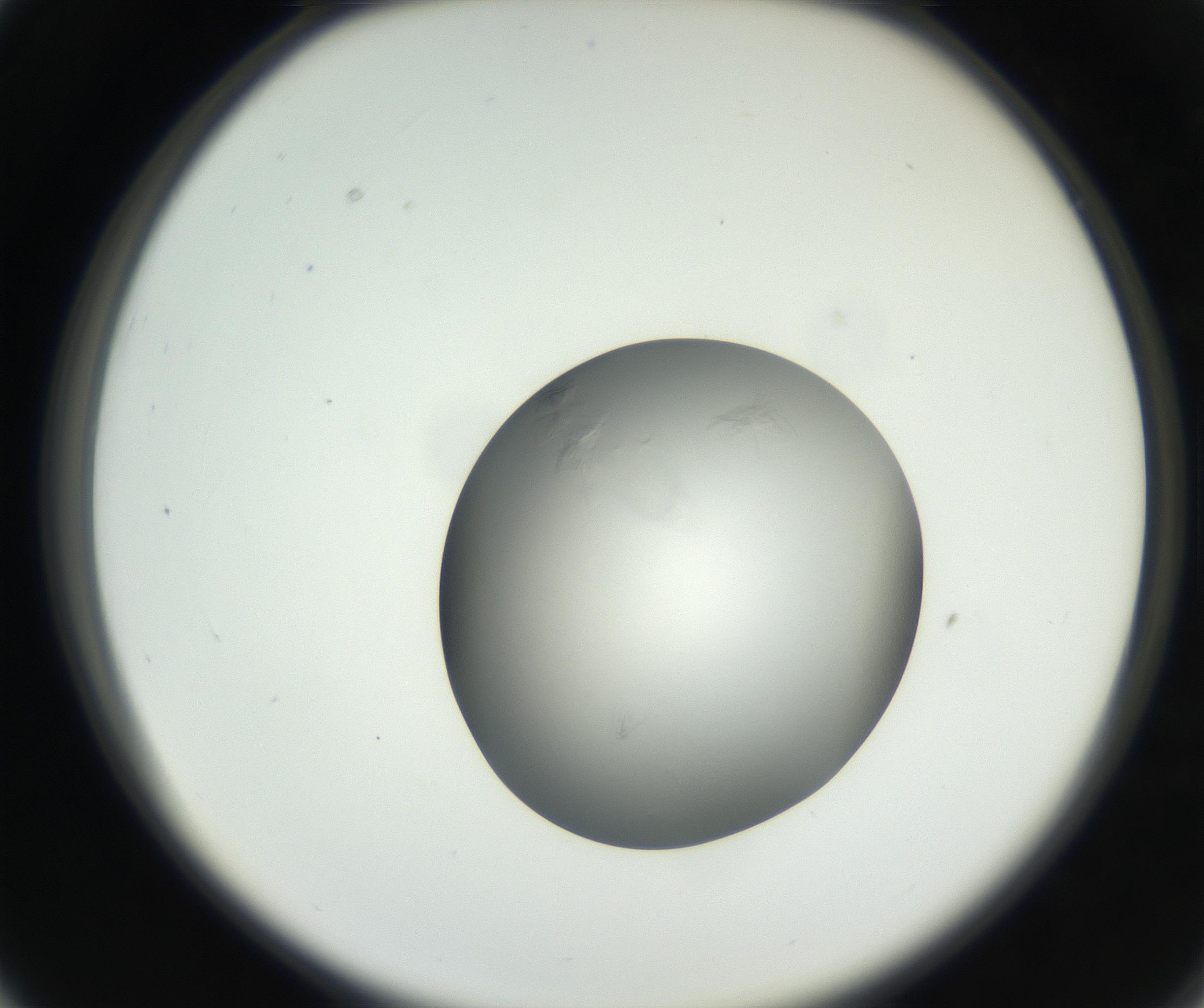 RI01_03_000_0212_Proj1_Clon1_MC_0000MC102639_002_160812_03_03_02_00_99_002_001_RAI.jpg