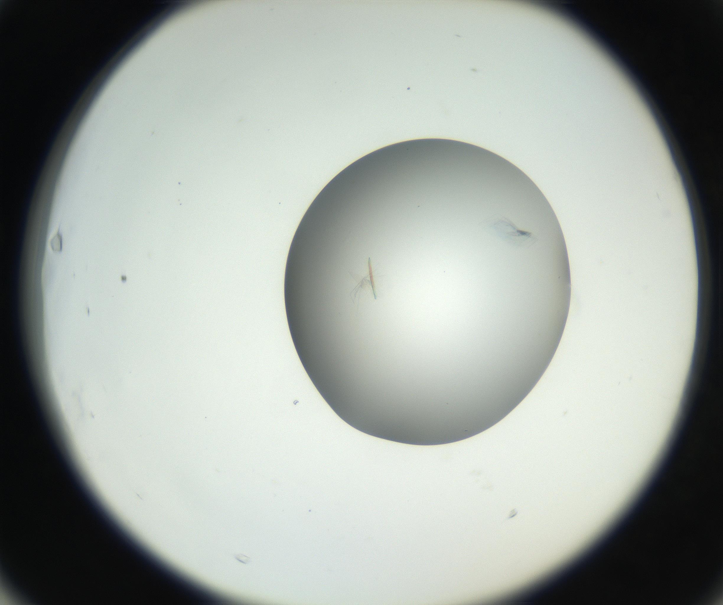 RI01_03_000_0212_Proj1_Clon1_MC_0000MC102639_002_160812_03_06_02_00_99_002_001_RAI.jpg