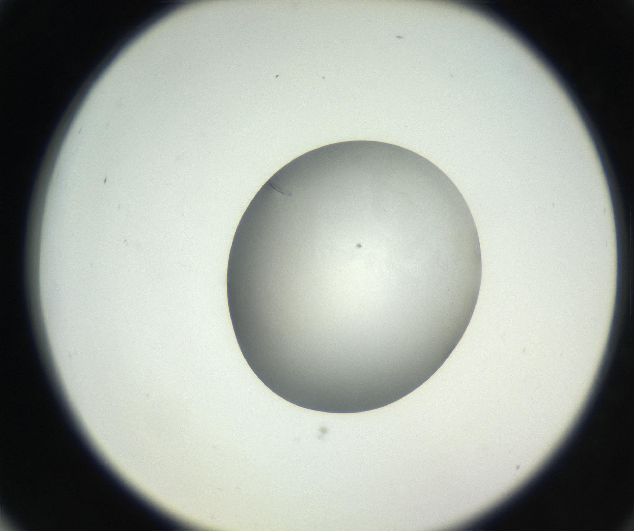 RI01_03_000_0212_Proj1_Clon1_MC_0000MC102639_002_160812_03_07_02_00_99_002_001_RAI.jpg
