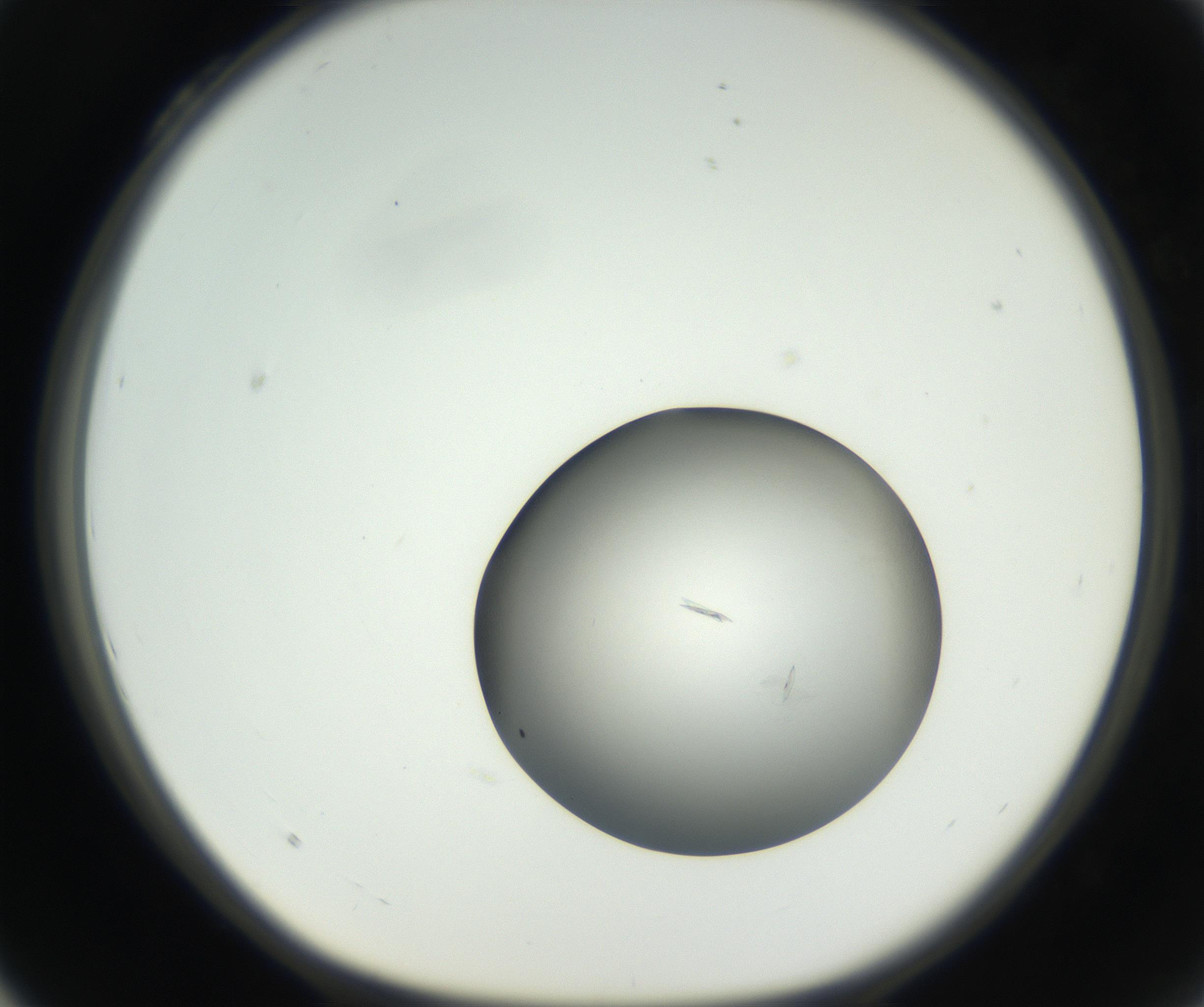 RI01_03_000_0212_Proj1_Clon1_MC_0000MC102639_002_160812_04_03_01_00_99_002_001_RAI.jpg