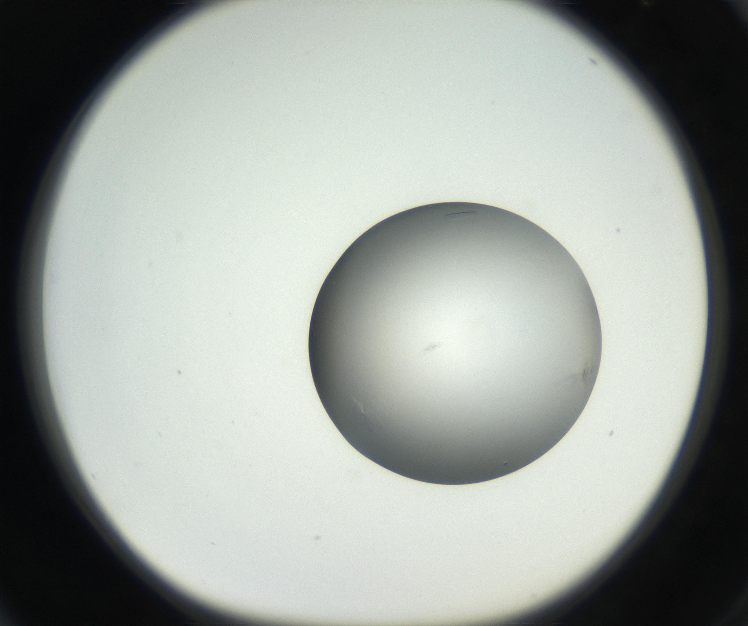 RI01_03_000_0212_Proj1_Clon1_MC_0000MC102639_002_160812_04_06_01_00_99_002_001_RAI.jpg