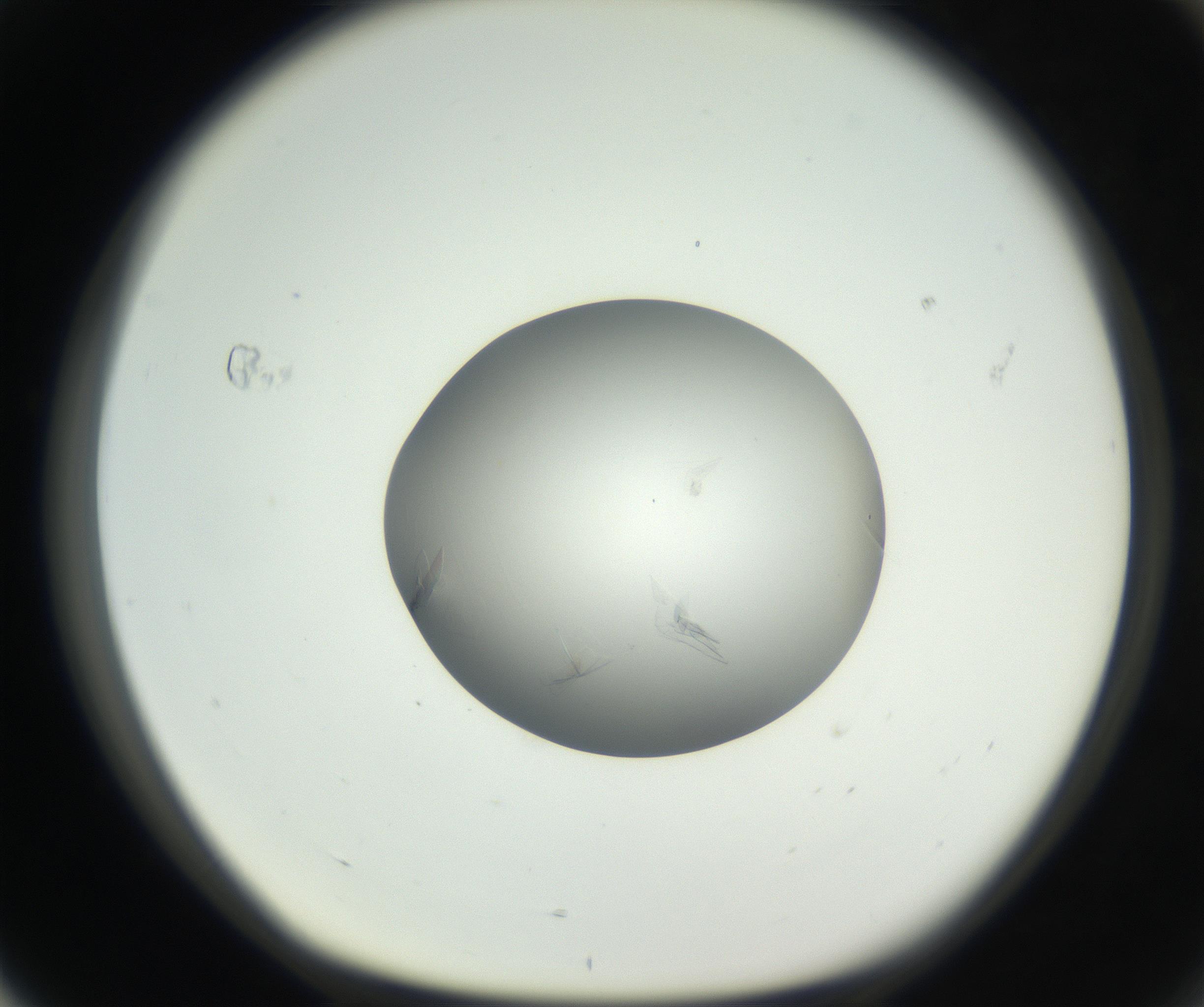 RI01_03_000_0212_Proj1_Clon1_MC_0000MC102639_002_160812_04_07_01_00_99_002_001_RAI.jpg