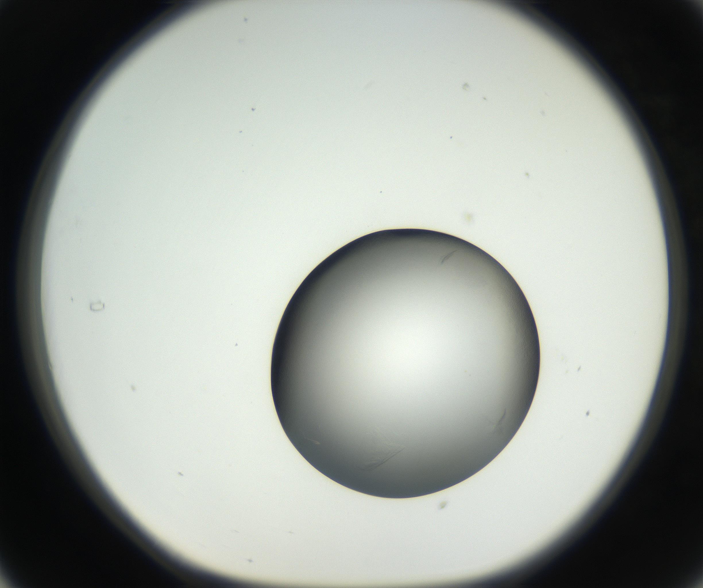 RI01_03_000_0212_Proj1_Clon1_MC_0000MC102639_002_160812_05_03_01_00_99_002_001_RAI.jpg