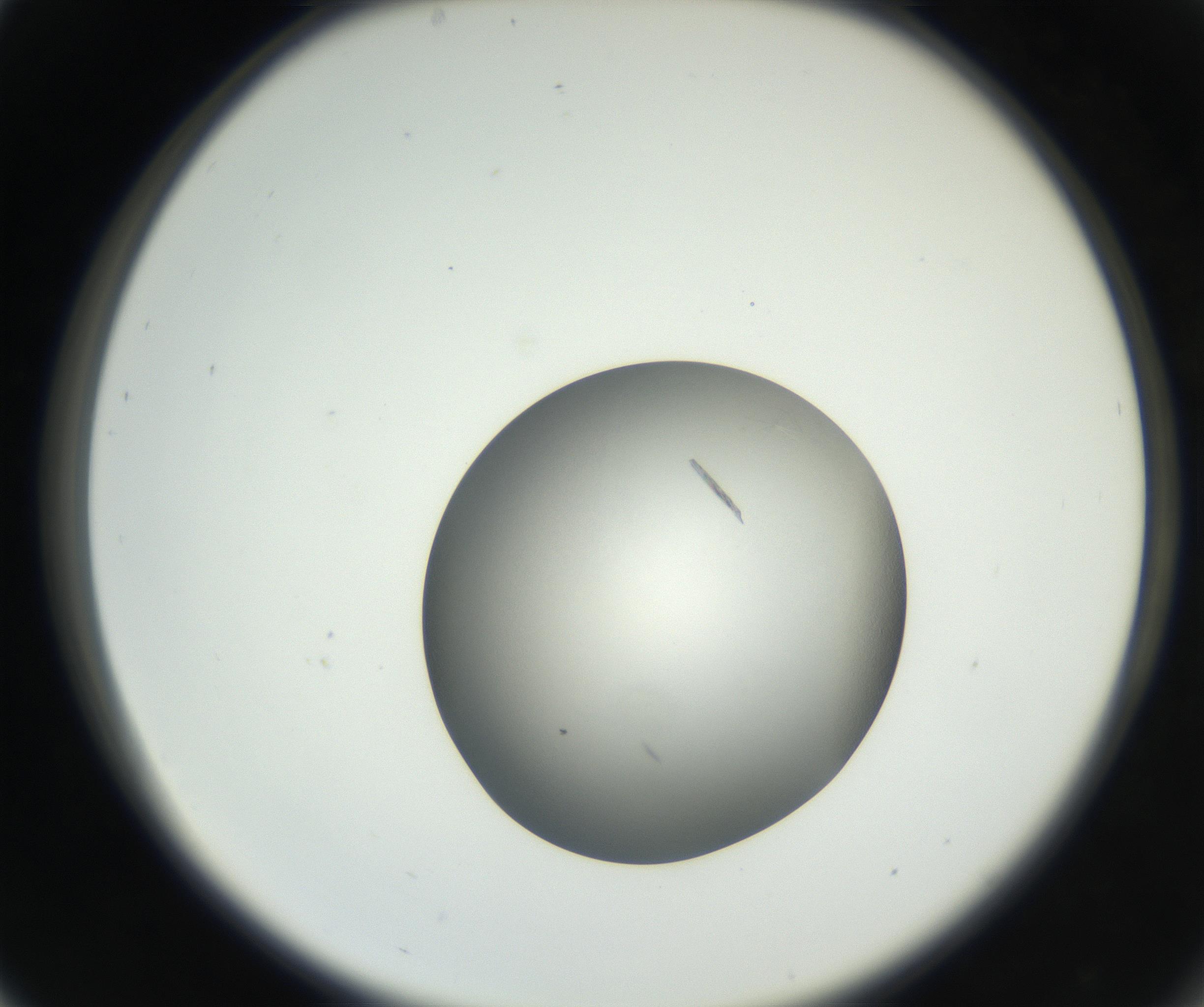 RI01_03_000_0212_Proj1_Clon1_MC_0000MC102639_002_160812_05_03_02_00_99_002_001_RAI.jpg