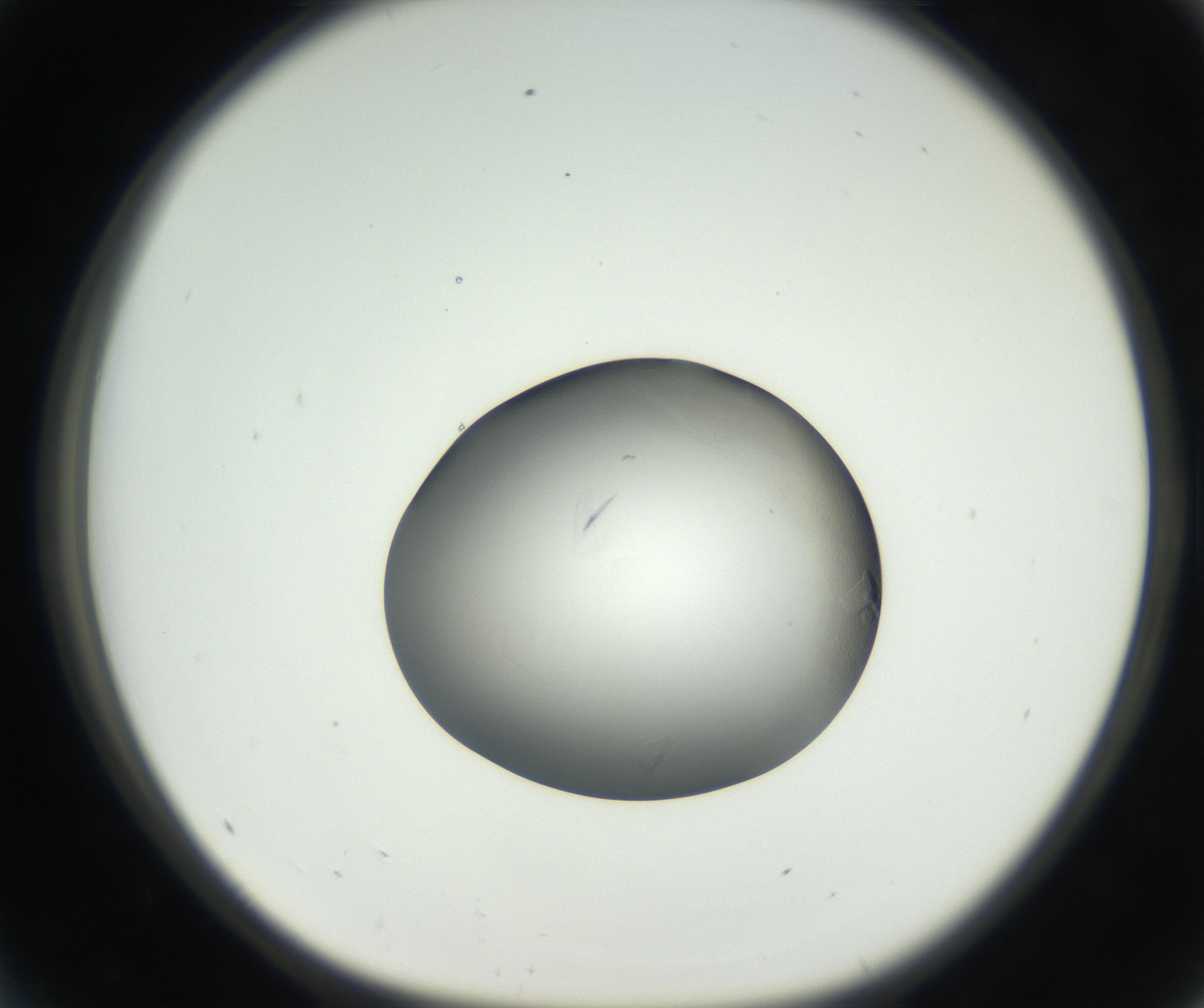 RI01_03_000_0212_Proj1_Clon1_MC_0000MC102639_002_160812_05_04_01_00_99_002_001_RAI.jpg