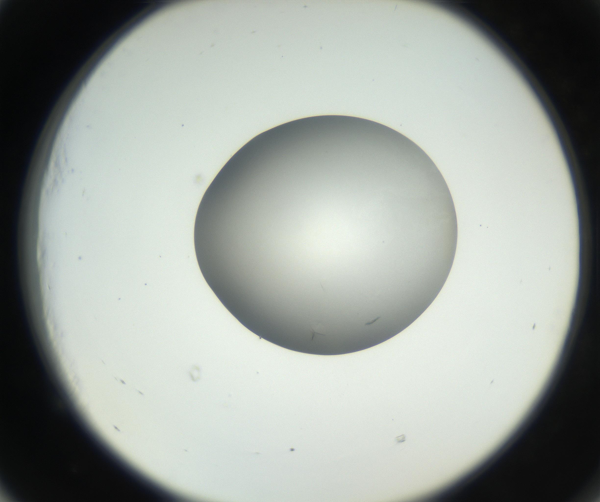 RI01_03_000_0212_Proj1_Clon1_MC_0000MC102639_002_160812_05_05_02_00_99_002_001_RAI.jpg