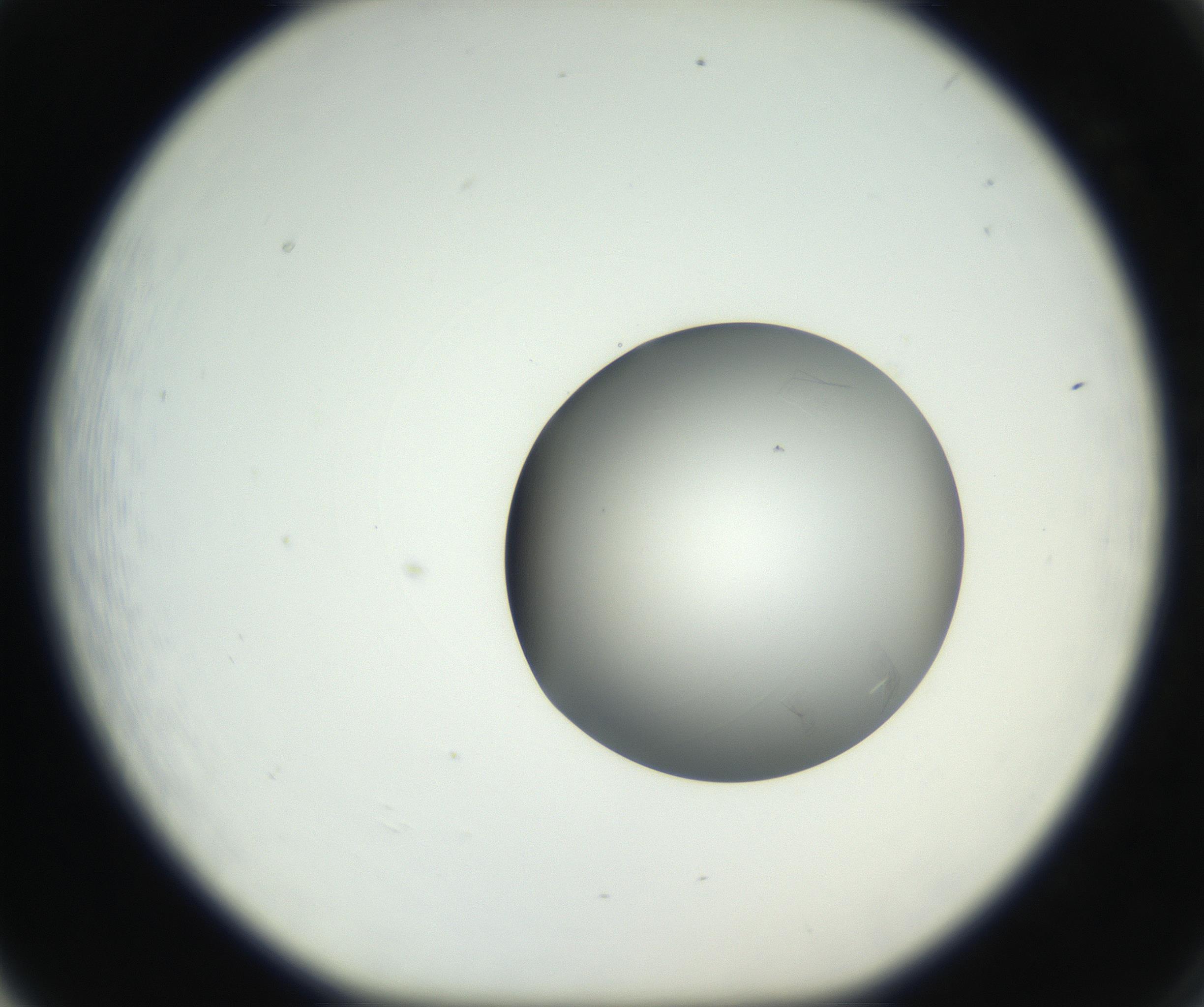 RI01_03_000_0212_Proj1_Clon1_MC_0000MC102639_002_160812_05_06_01_00_99_002_001_RAI.jpg