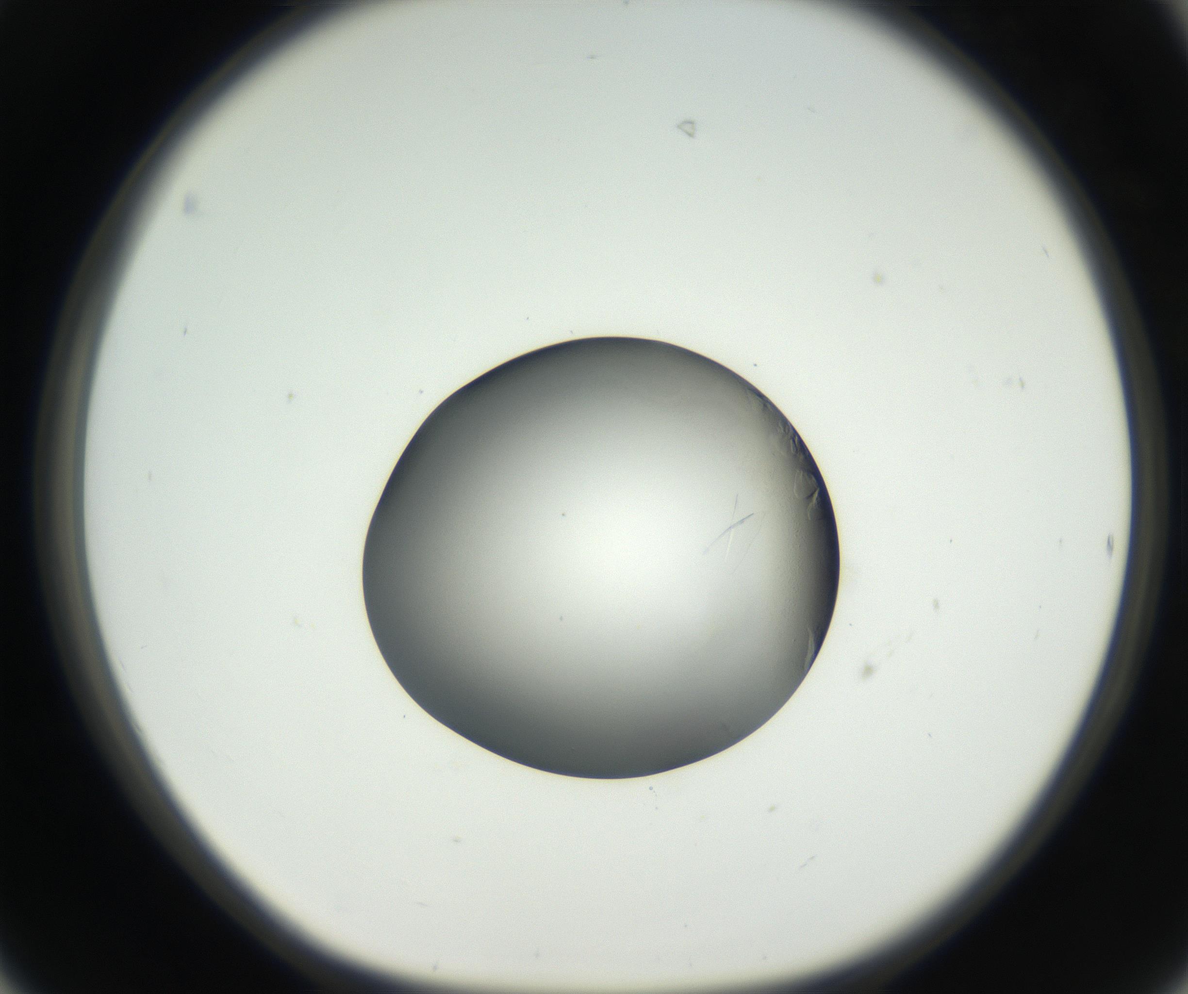 RI01_03_000_0212_Proj1_Clon1_MC_0000MC102639_002_160812_06_04_01_00_99_002_001_RAI.jpg