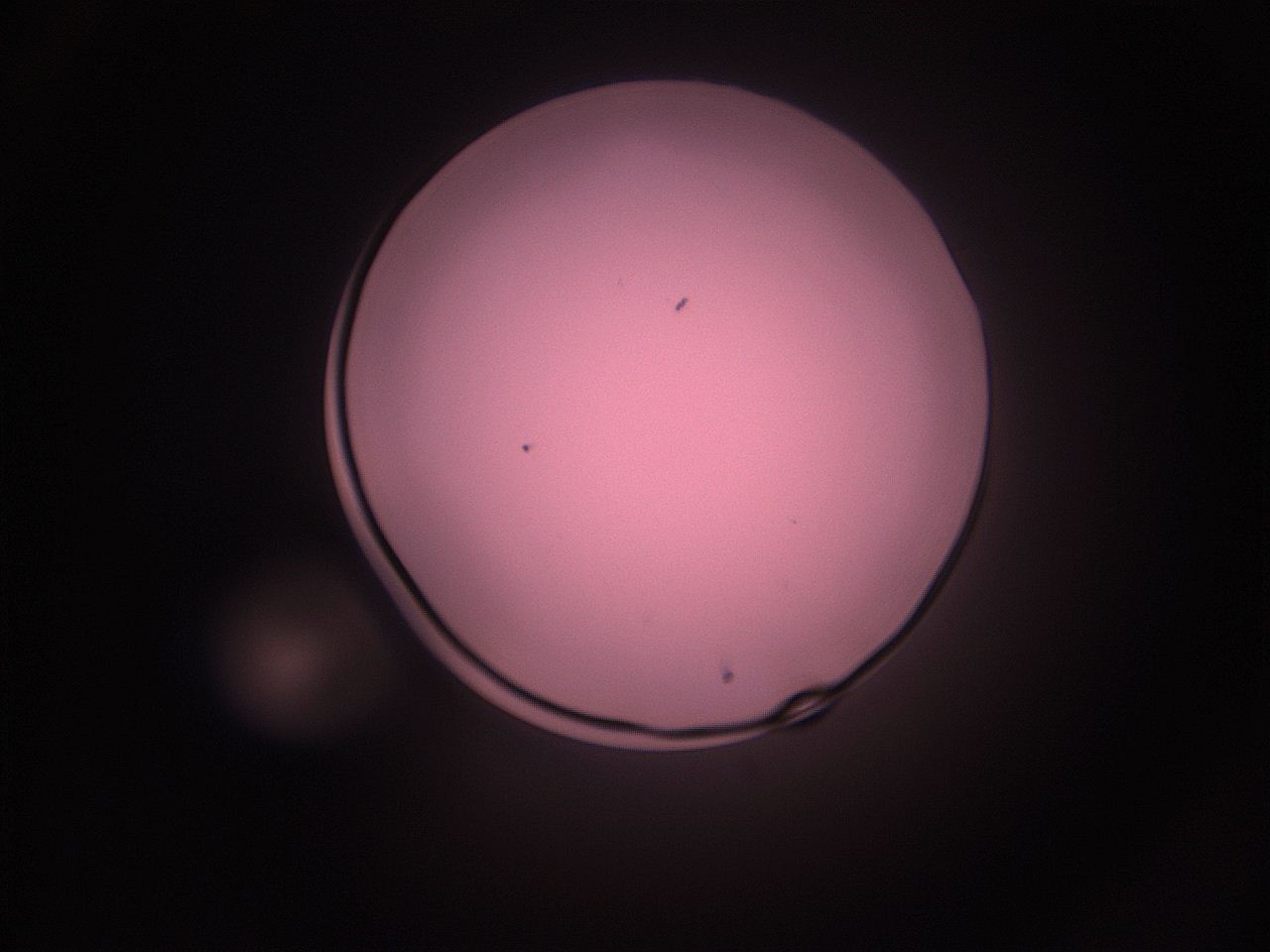05i2_L6_ImagerDefaults_1.jpg