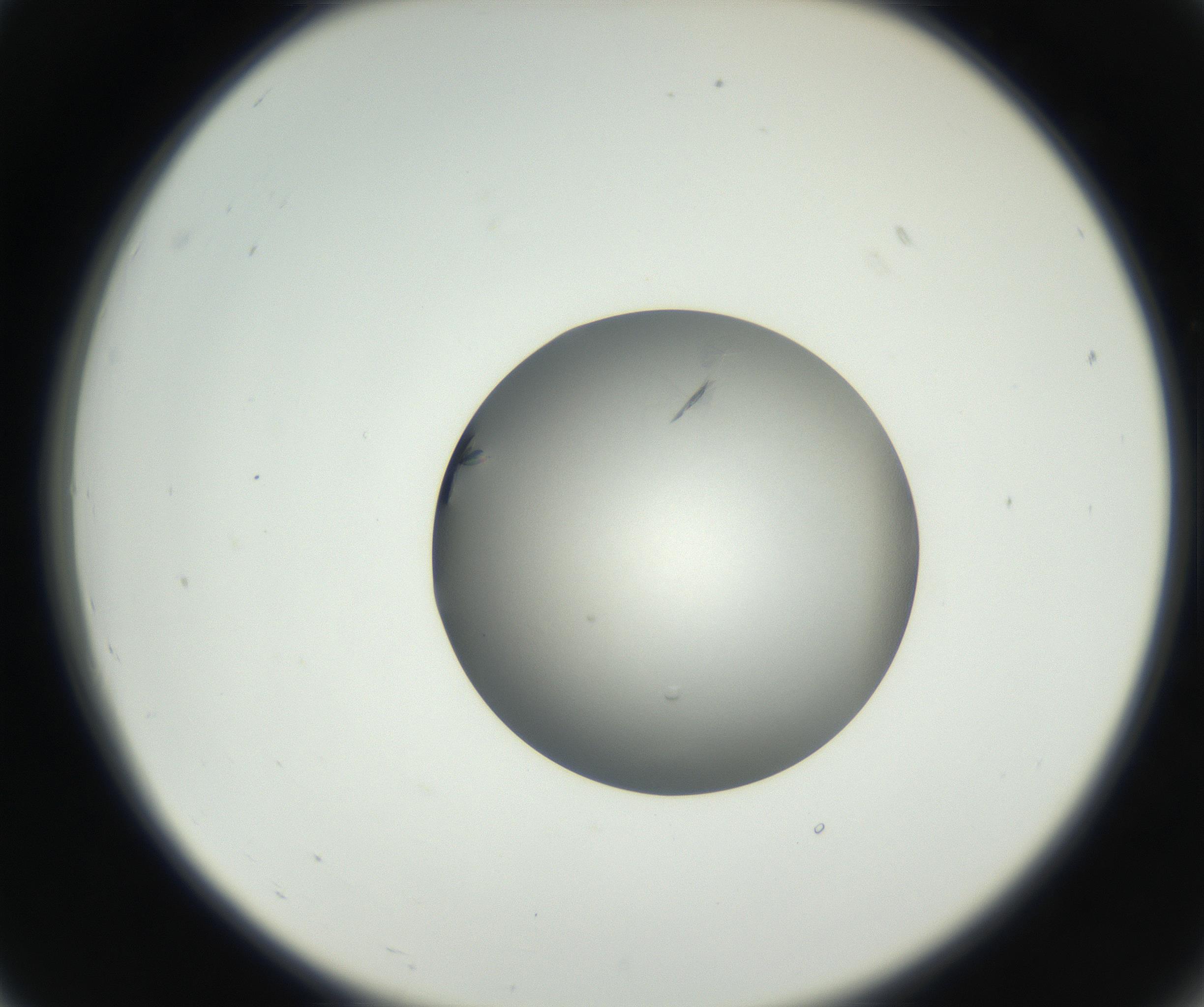 RI01_03_000_0212_Proj1_Clon1_MC_0000MC102639_002_160812_07_02_02_00_99_002_001_RAI.jpg