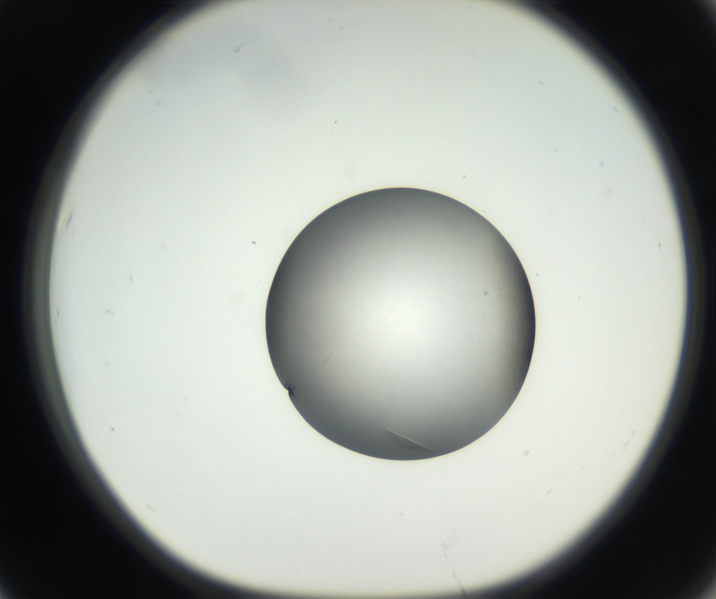 RI01_03_000_0212_Proj1_Clon1_MC_0000MC102639_002_160812_07_06_01_00_99_002_001_RAI.jpg