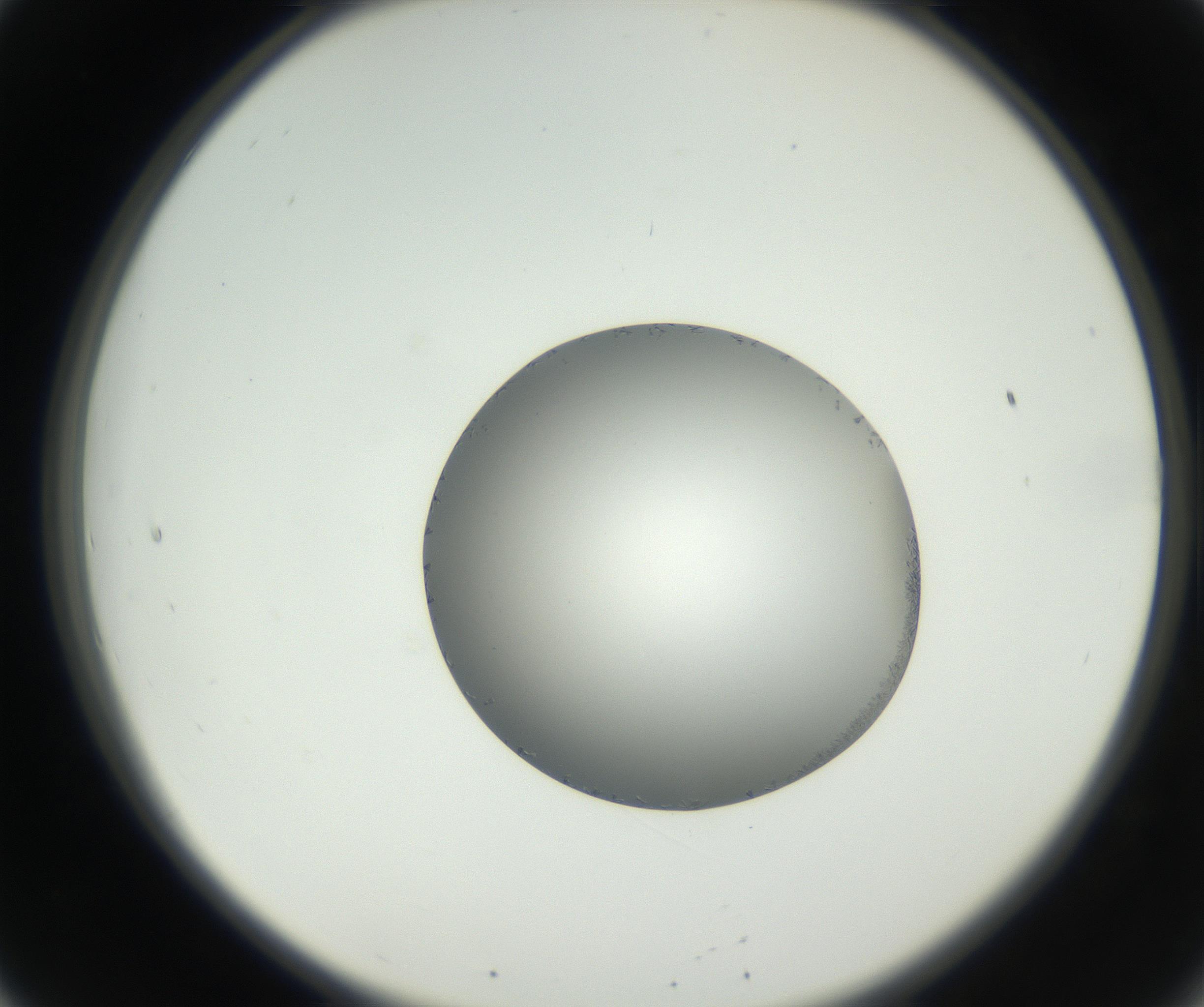 RI01_03_000_0212_Proj1_Clon1_MC_0000MC102639_002_160812_08_02_02_00_99_002_001_RAI.jpg