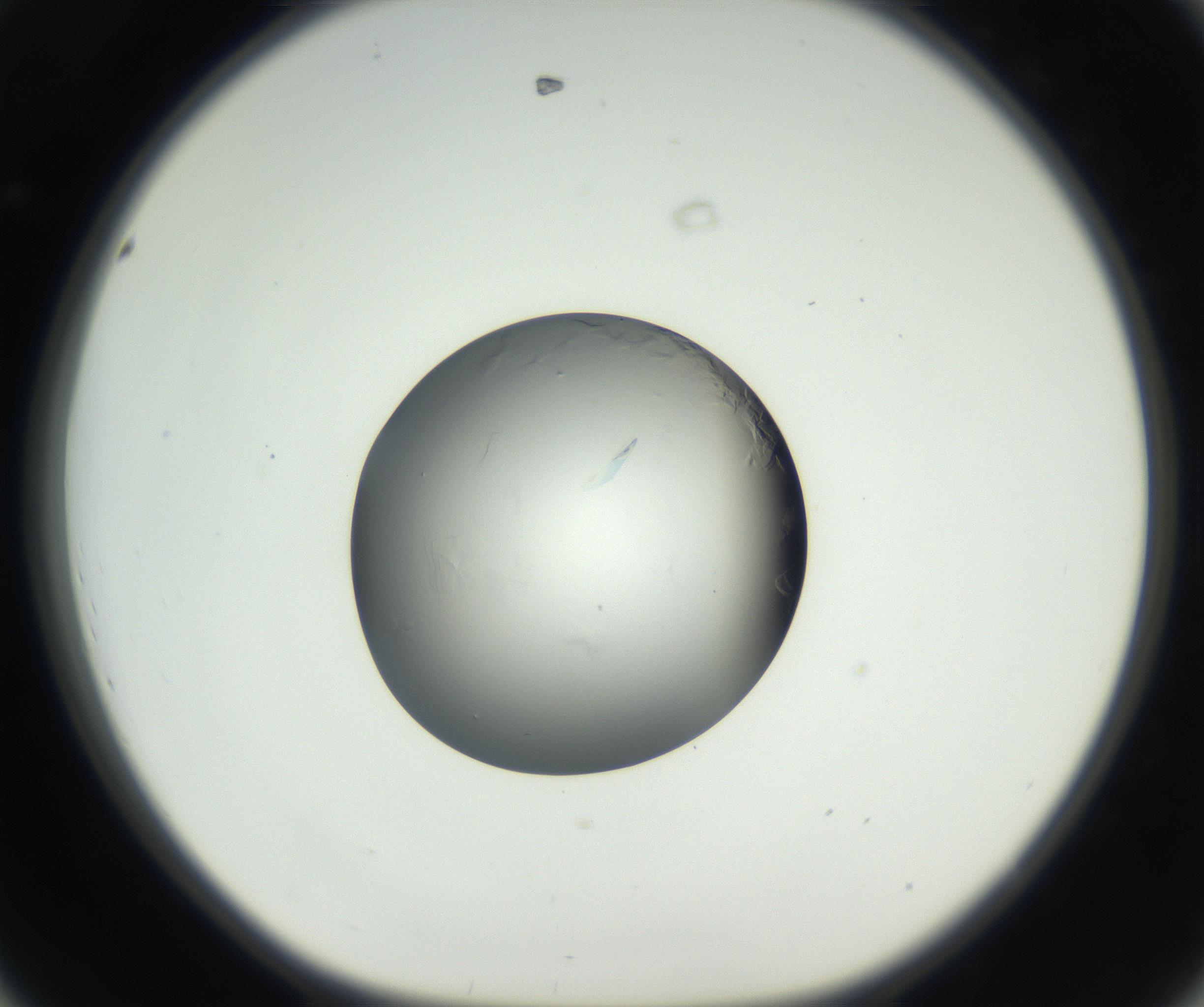 RI01_03_000_0212_Proj1_Clon1_MC_0000MC102639_002_160812_08_04_01_00_99_002_001_RAI.jpg