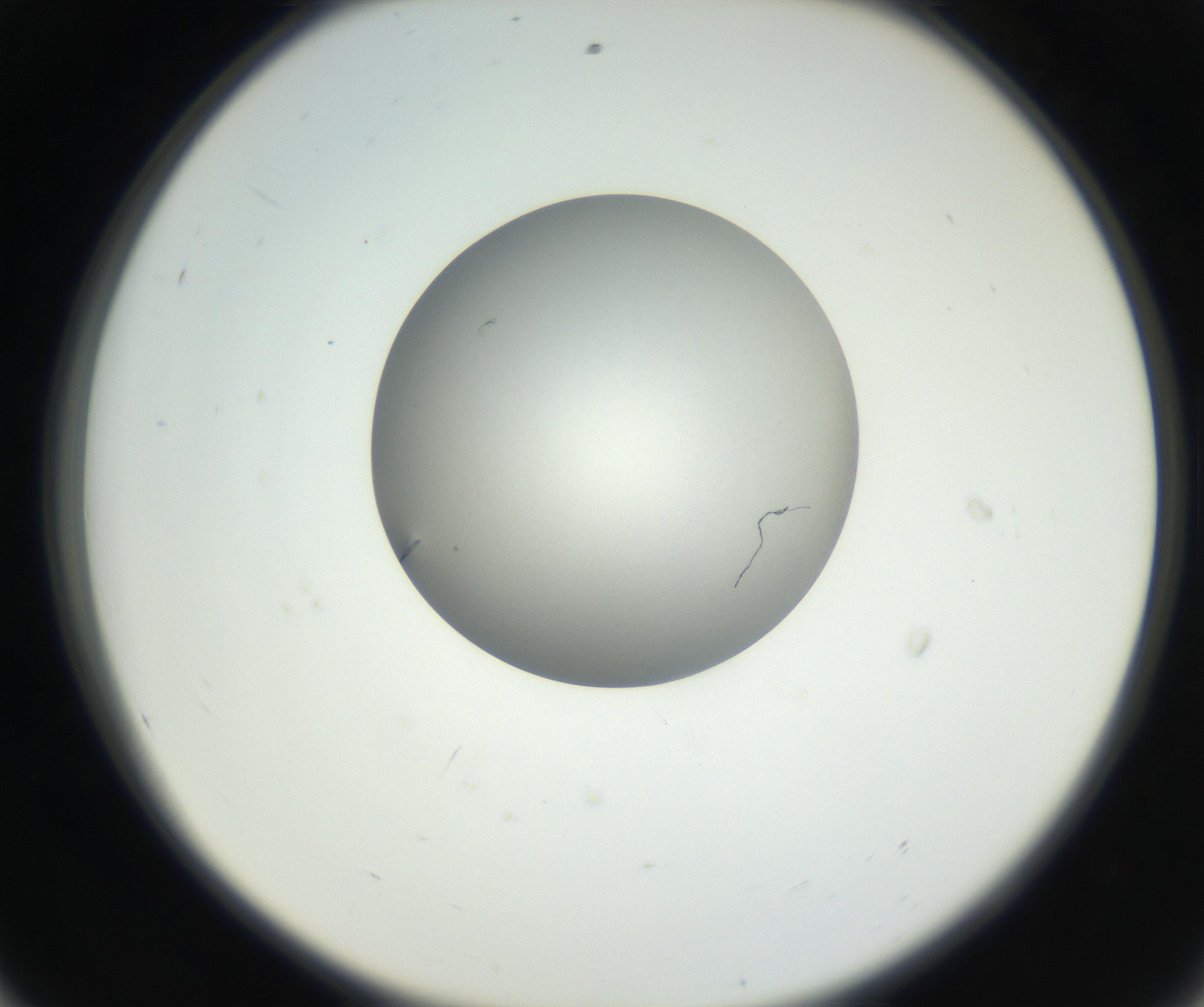 RI01_03_000_0212_Proj1_Clon1_MC_0000MC102639_002_160812_08_05_02_00_99_002_001_RAI.jpg