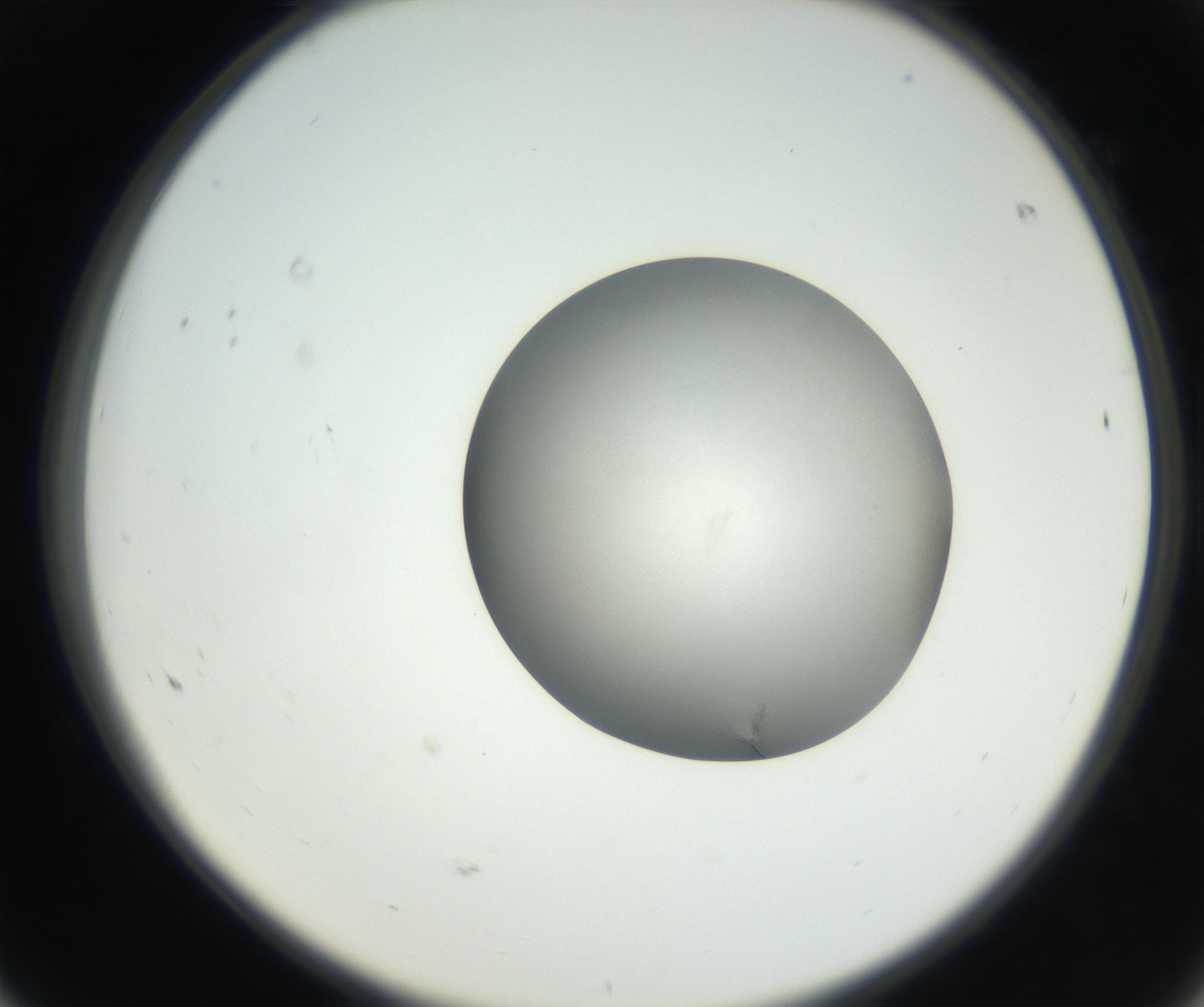 RI01_03_000_0212_Proj1_Clon1_MC_0000MC102639_002_160812_08_06_02_00_99_002_001_RAI.jpg