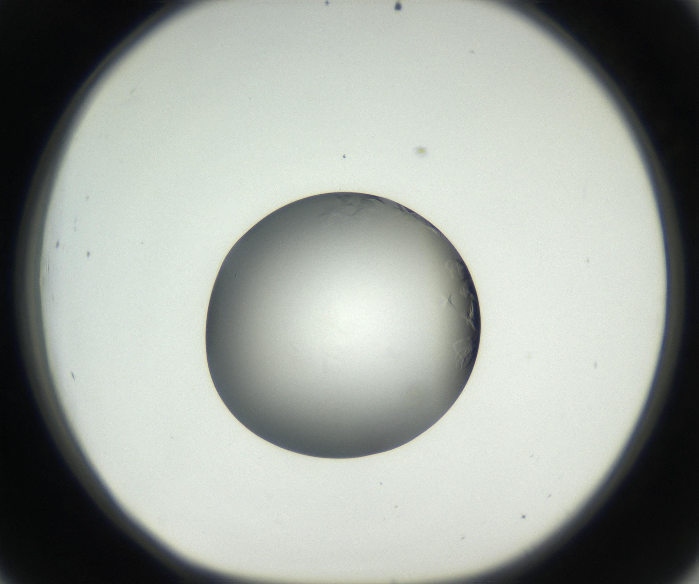 RI01_03_000_0212_Proj1_Clon1_MC_0000MC102639_002_160812_09_04_01_00_99_002_001_RAI.jpg