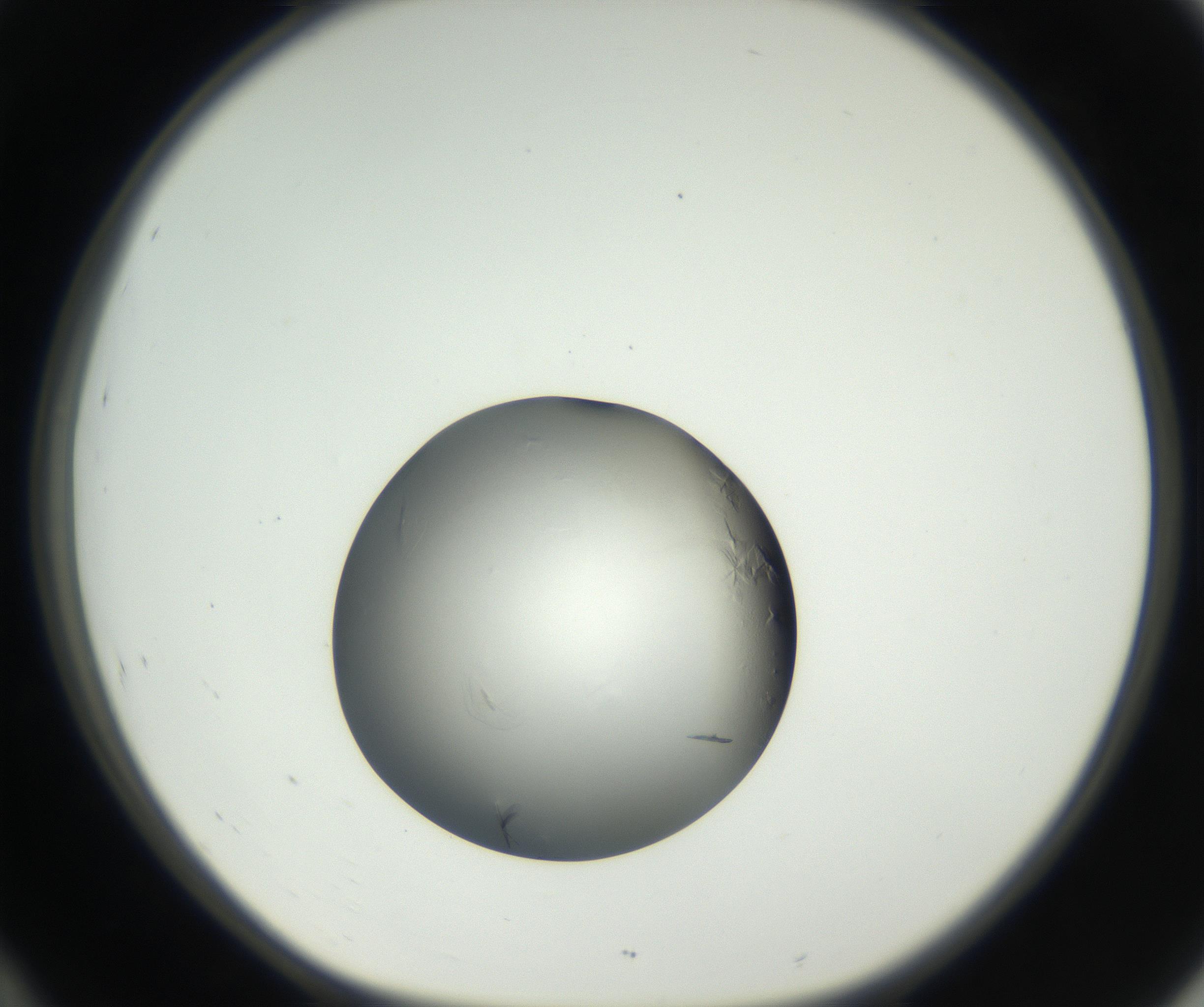 RI01_03_000_0212_Proj1_Clon1_MC_0000MC102639_002_160812_10_04_01_00_99_002_001_RAI.jpg