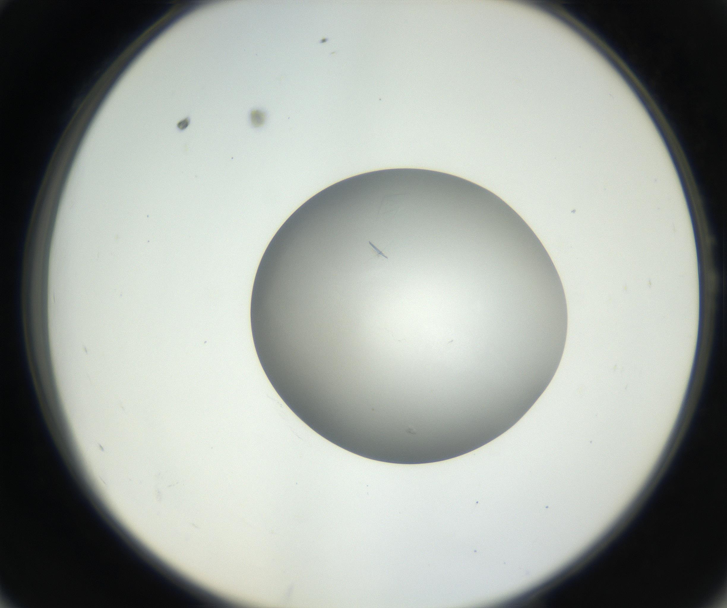 RI01_03_000_0212_Proj1_Clon1_MC_0000MC102639_002_160812_10_05_02_00_99_002_001_RAI.jpg
