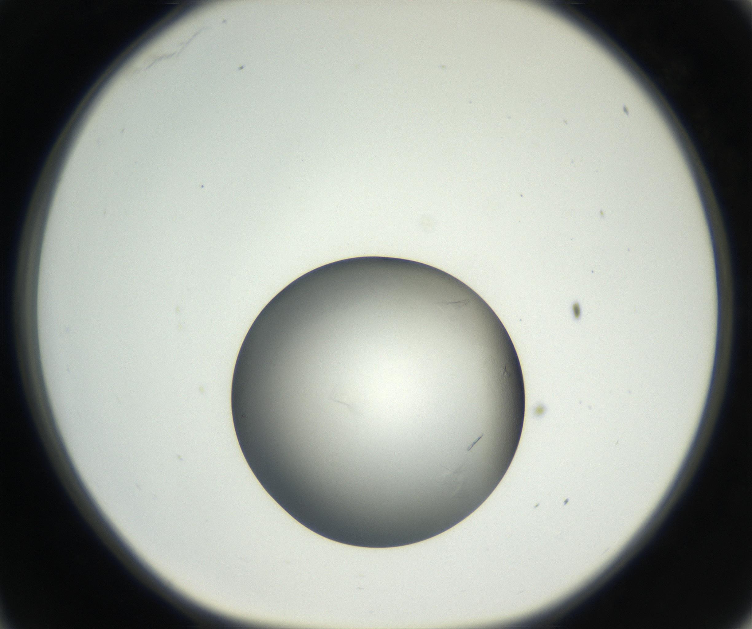 RI01_03_000_0212_Proj1_Clon1_MC_0000MC102639_002_160812_11_03_01_00_99_002_001_RAI.jpg