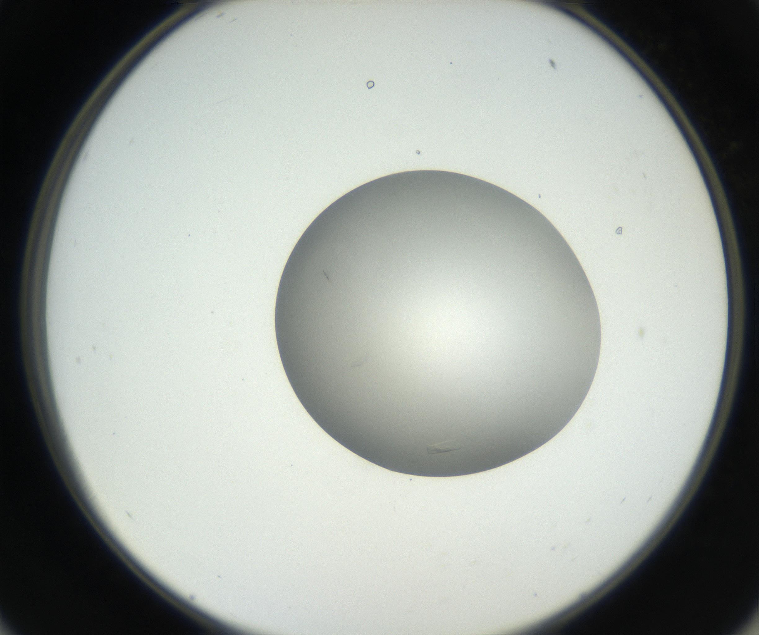 RI01_03_000_0212_Proj1_Clon1_MC_0000MC102639_002_160812_11_05_02_00_99_002_001_RAI.jpg