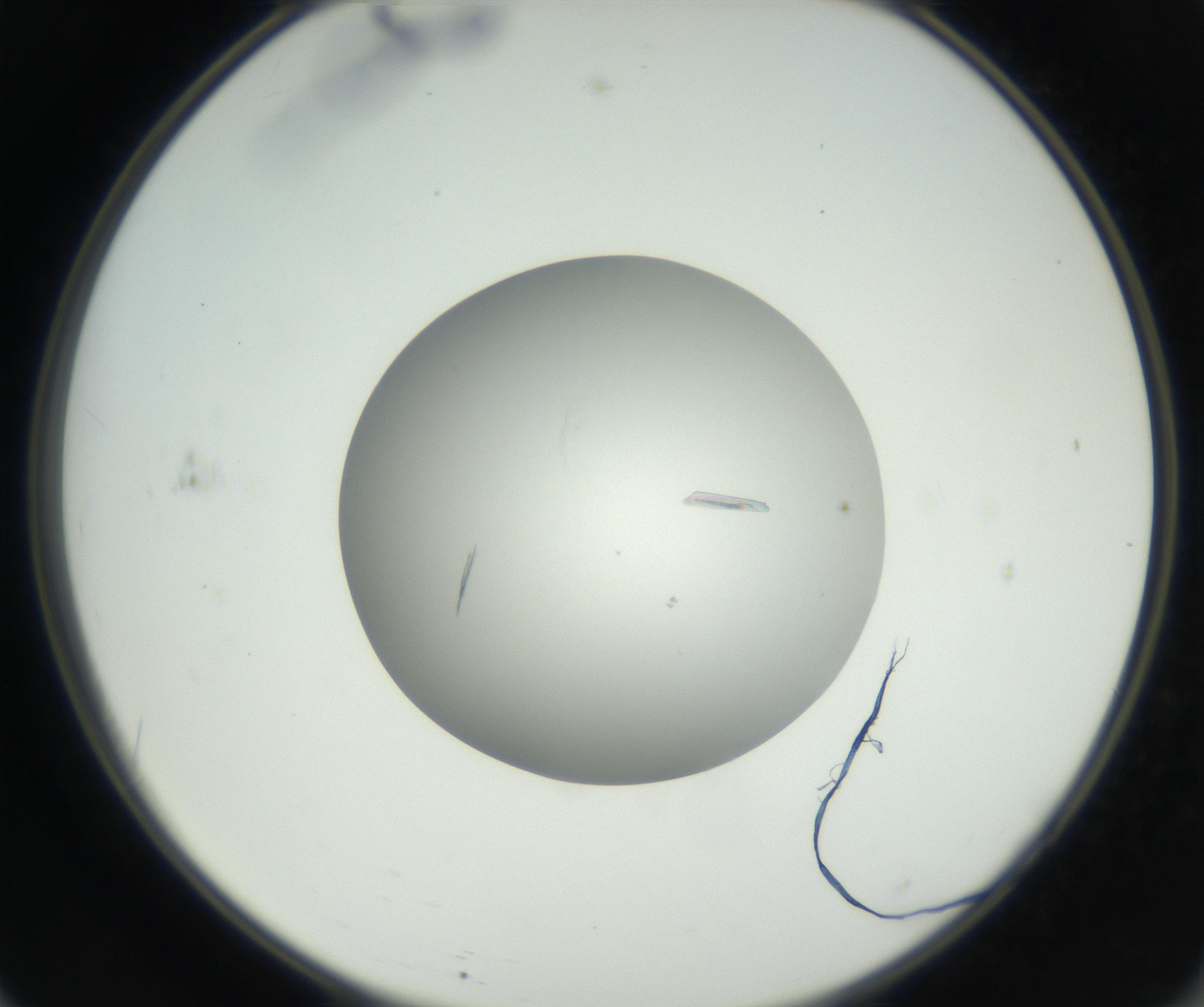 RI01_03_000_0212_Proj1_Clon1_MC_0000MC102639_002_160812_11_06_02_00_99_002_001_RAI.jpg