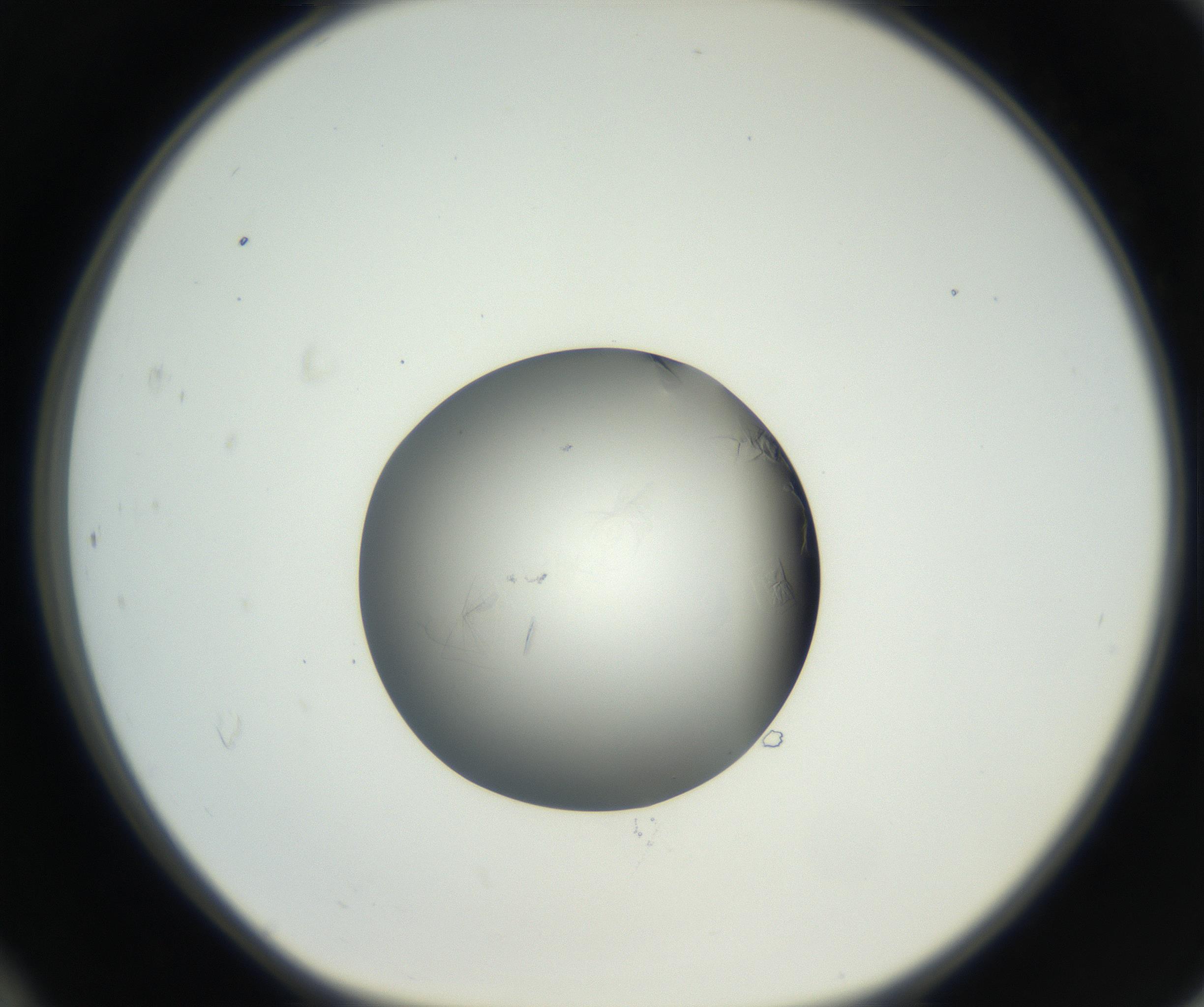 RI01_03_000_0212_Proj1_Clon1_MC_0000MC102639_002_160812_12_04_01_00_99_002_001_RAI.jpg