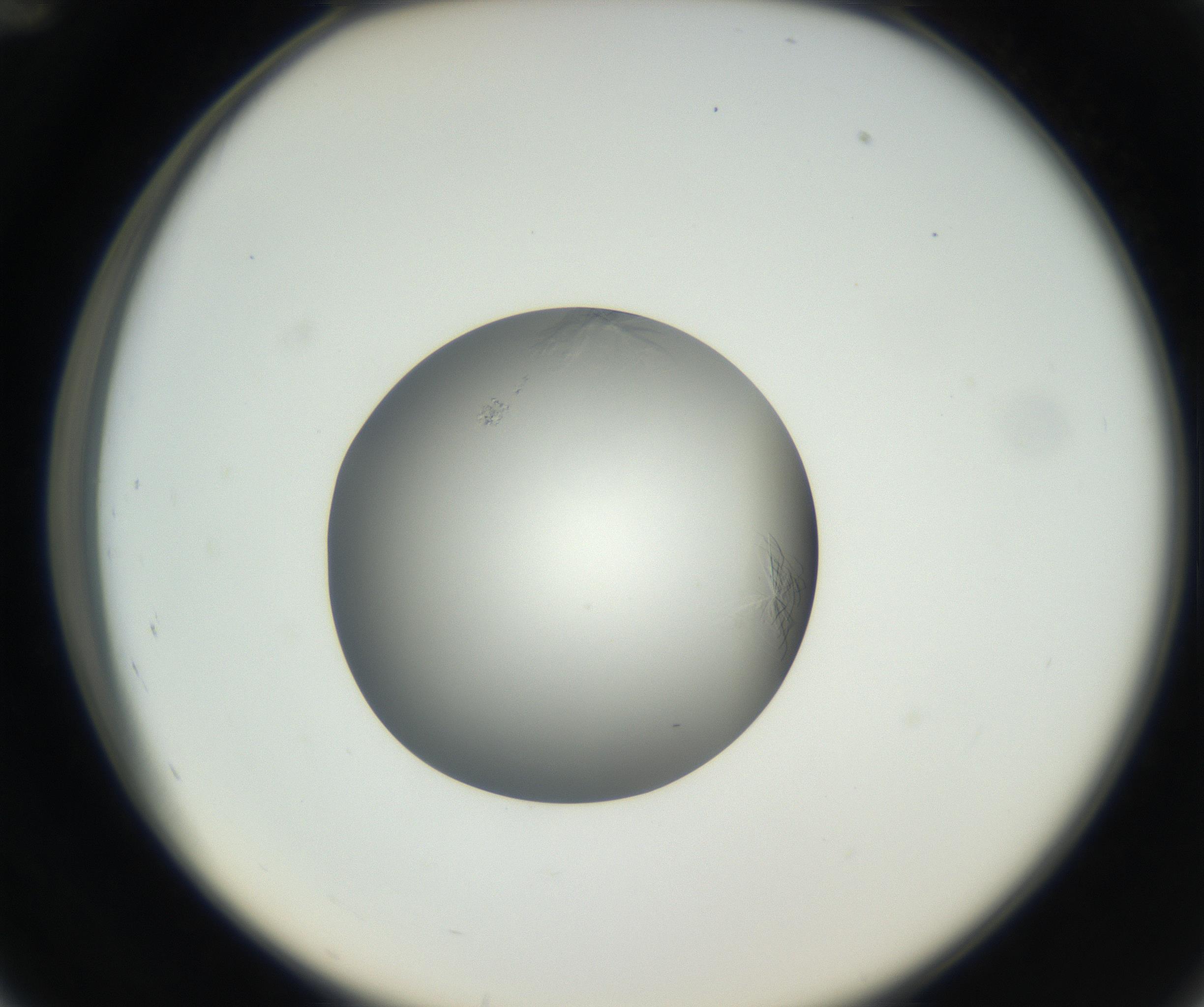 RI01_03_000_0212_Proj1_Clon1_MC_0000MC102639_002_160812_12_04_02_00_99_002_001_RAI.jpg