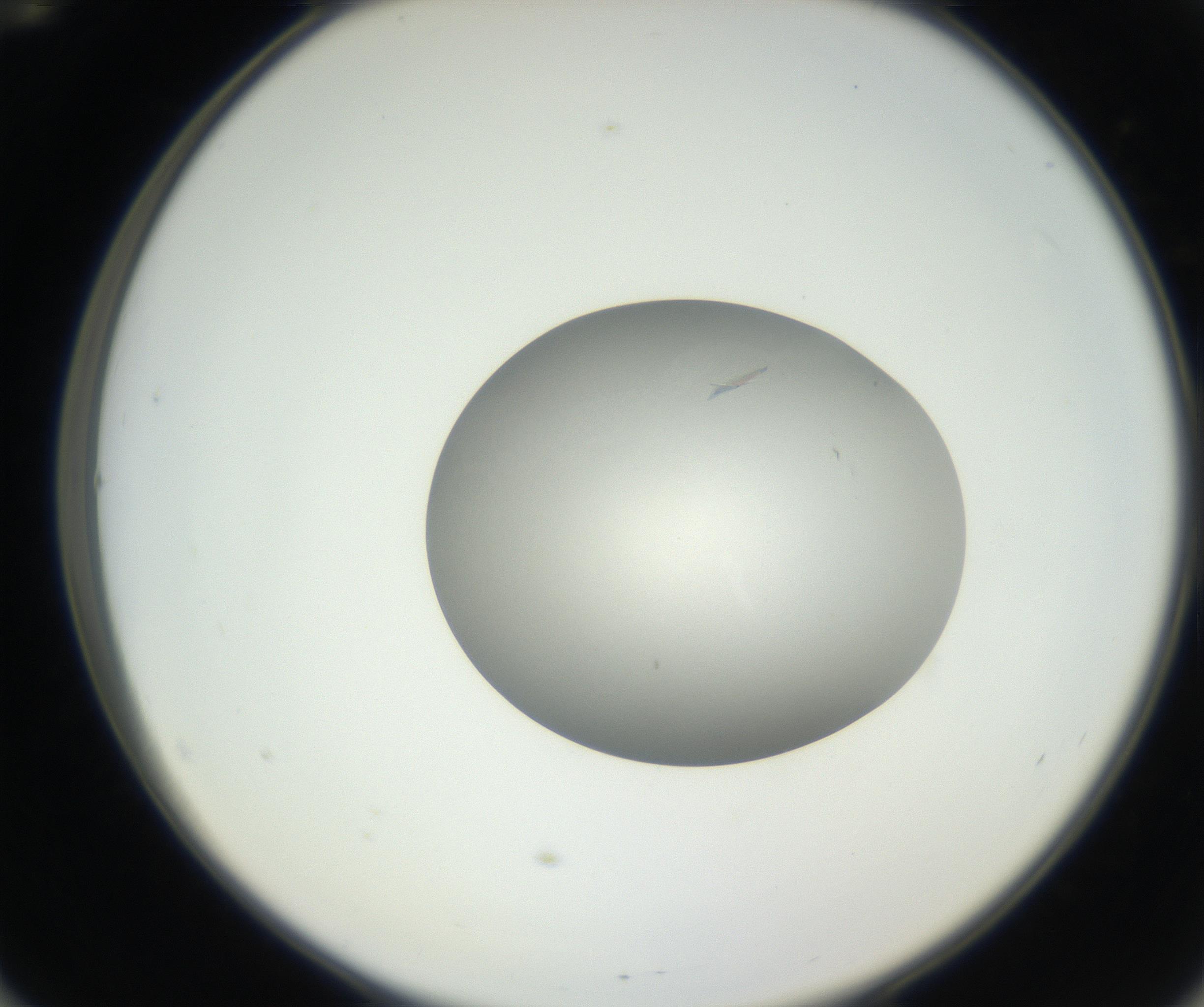 RI01_03_000_0212_Proj1_Clon1_MC_0000MC102639_002_160812_12_05_02_00_99_002_001_RAI.jpg